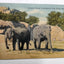 Elephant House In Zoological Park Detroit Michigan Linen Postcard 1940's - TulipStuff