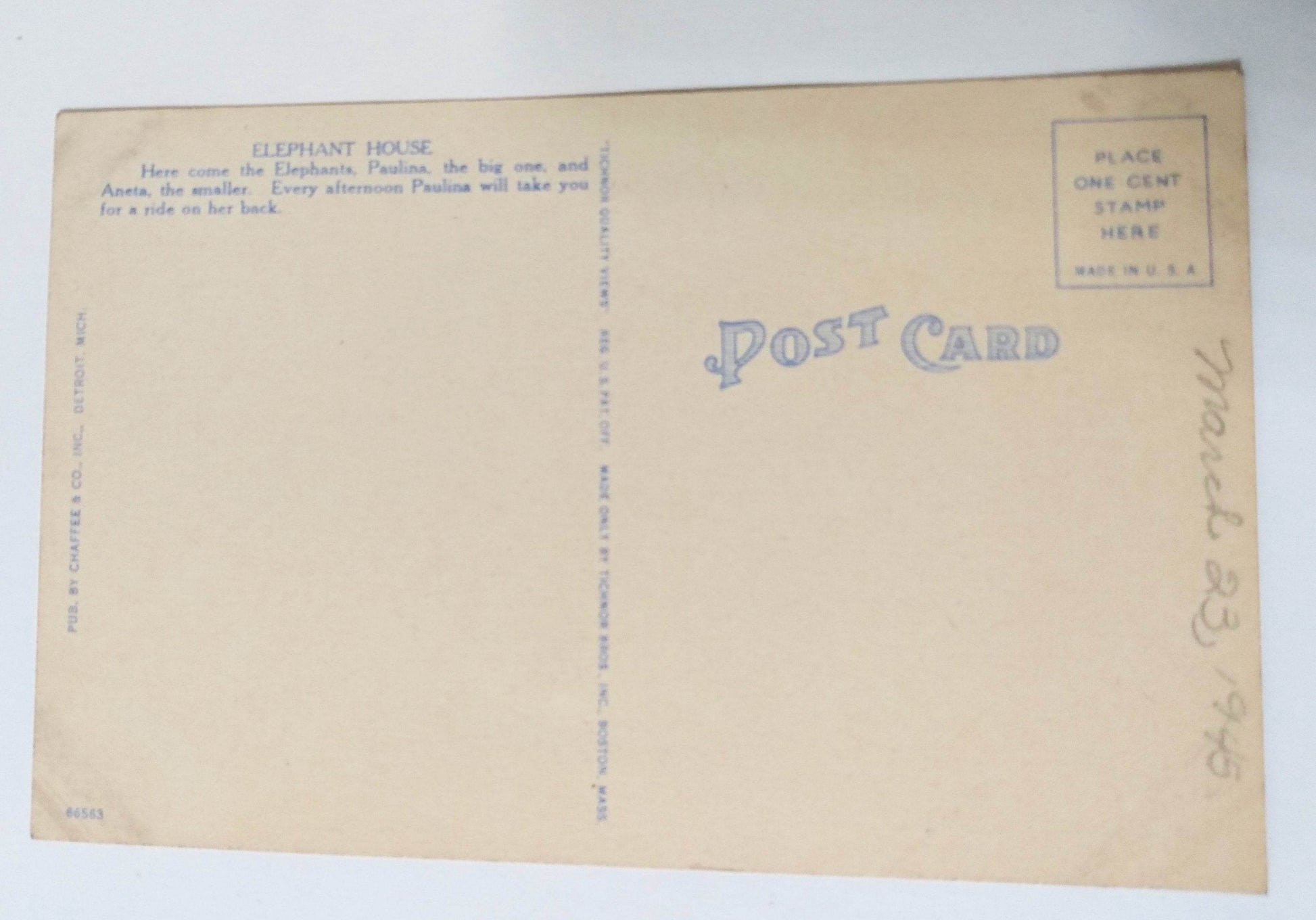 Elephant House In Zoological Park Detroit Michigan Linen Postcard 1940's - TulipStuff