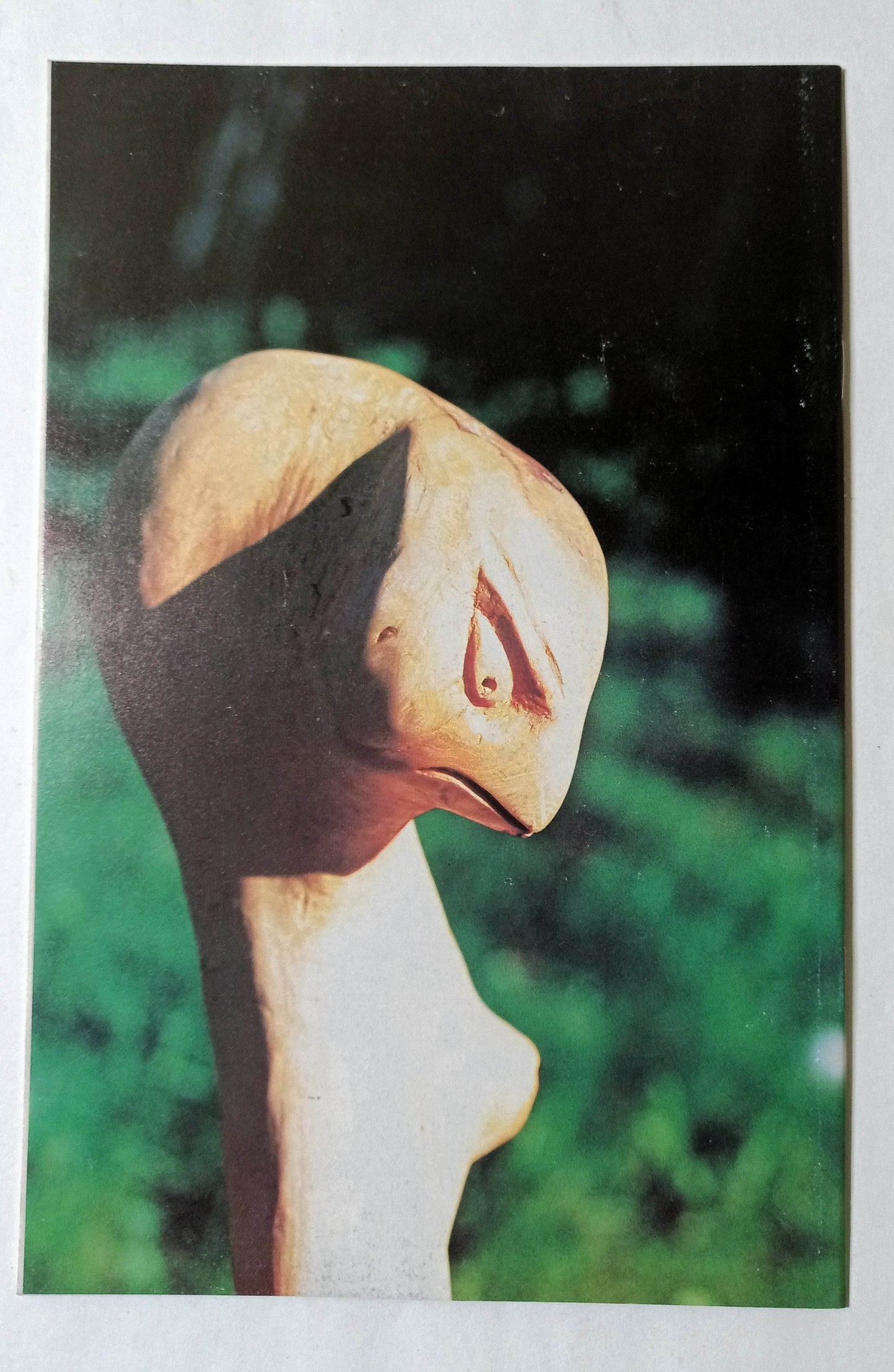 Elflord No. 1 (Series 2) Comic Book Aircel 1986 - TulipStuff