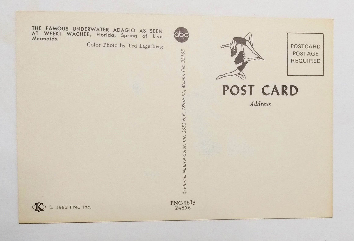 Weeki Wachee Florida Famous Underwater Adagio Mermaids Postcard 1983 - TulipStuff