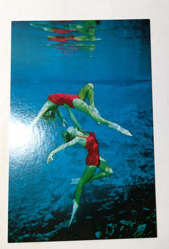 Weeki Wachee Florida Famous Underwater Adagio Mermaids Postcard 1983 - TulipStuff
