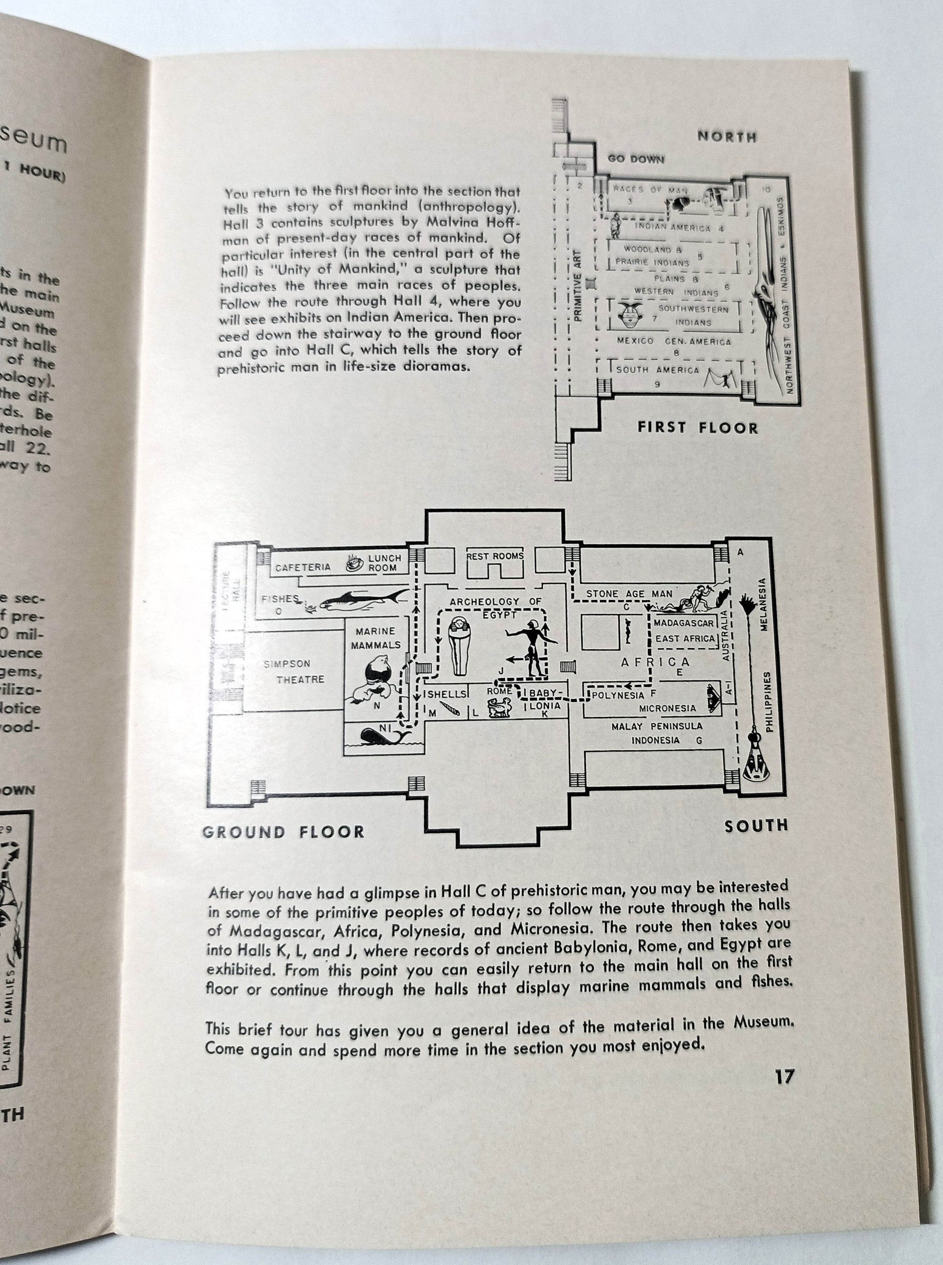 Field Museum Of Natural History General Guide Chicago Illinois 1967 - TulipStuff