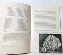 Load image into Gallery viewer, Field Museum Of Natural History General Guide Chicago Illinois 1967 - TulipStuff
