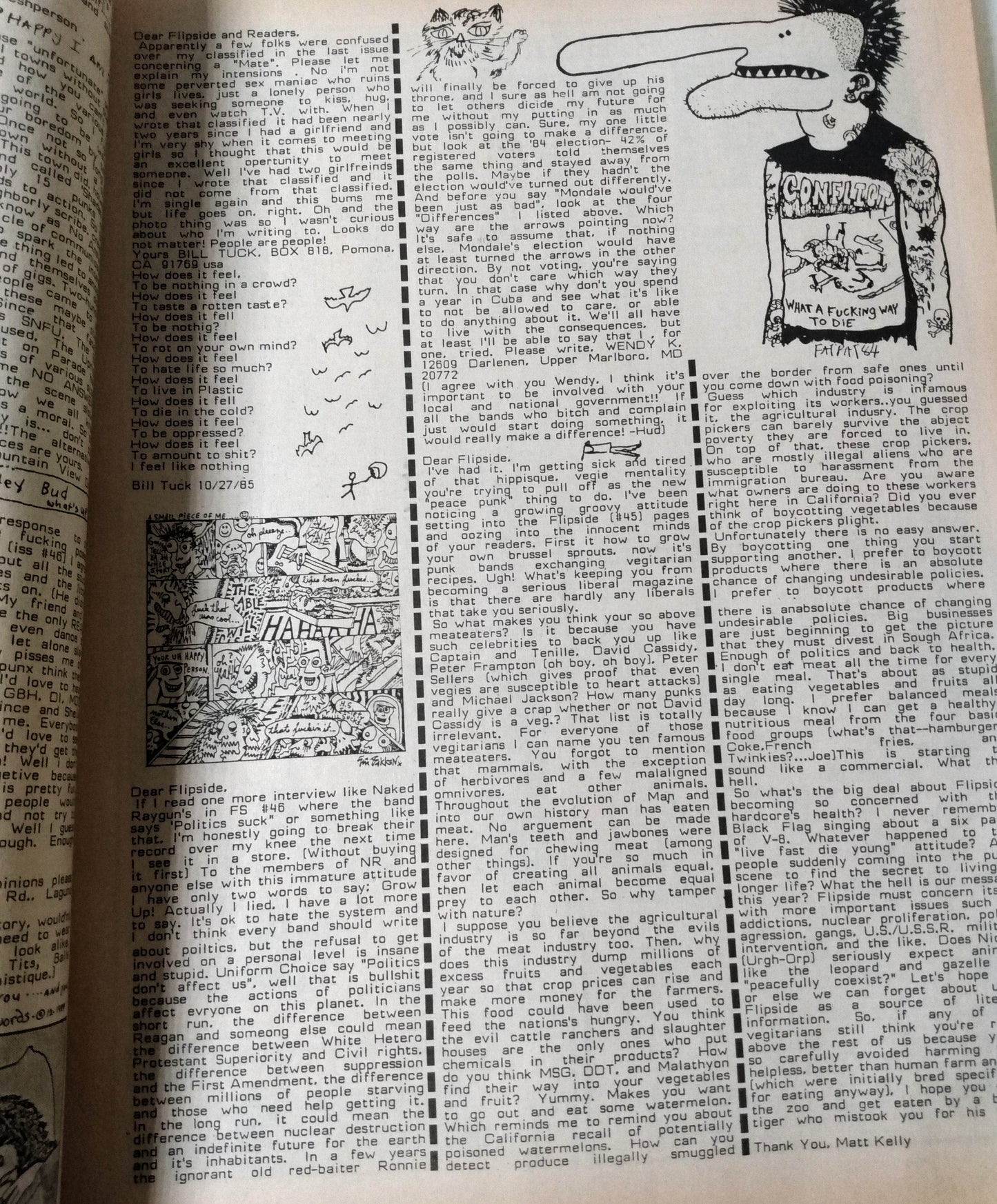 Flipside Issue #48 Spring 1986 Punk Fanzine Descendents Fear Scream Necros - TulipStuff