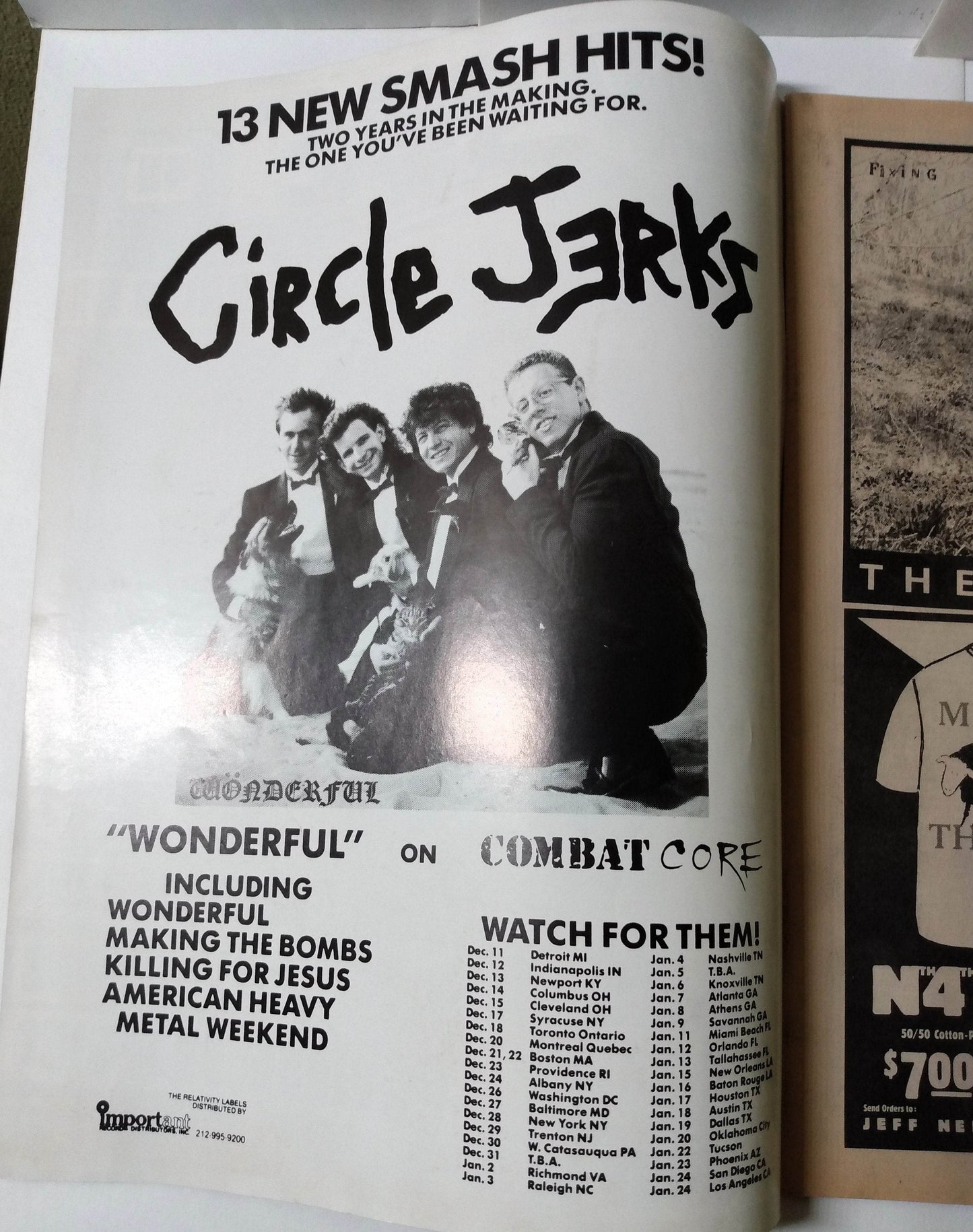 Flipside Issue #48 Spring 1986 Punk Fanzine Descendents Fear Scream Necros - TulipStuff