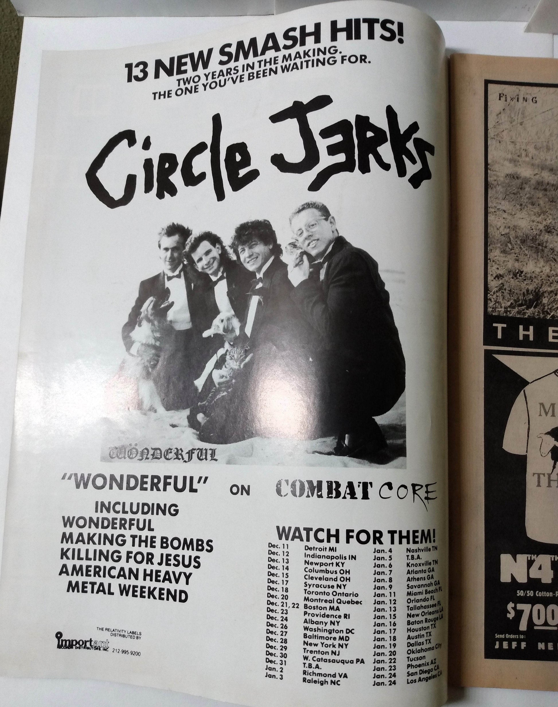 Flipside Issue #48 Spring 1986 Punk Fanzine Descendents Fear Scream Necros - TulipStuff