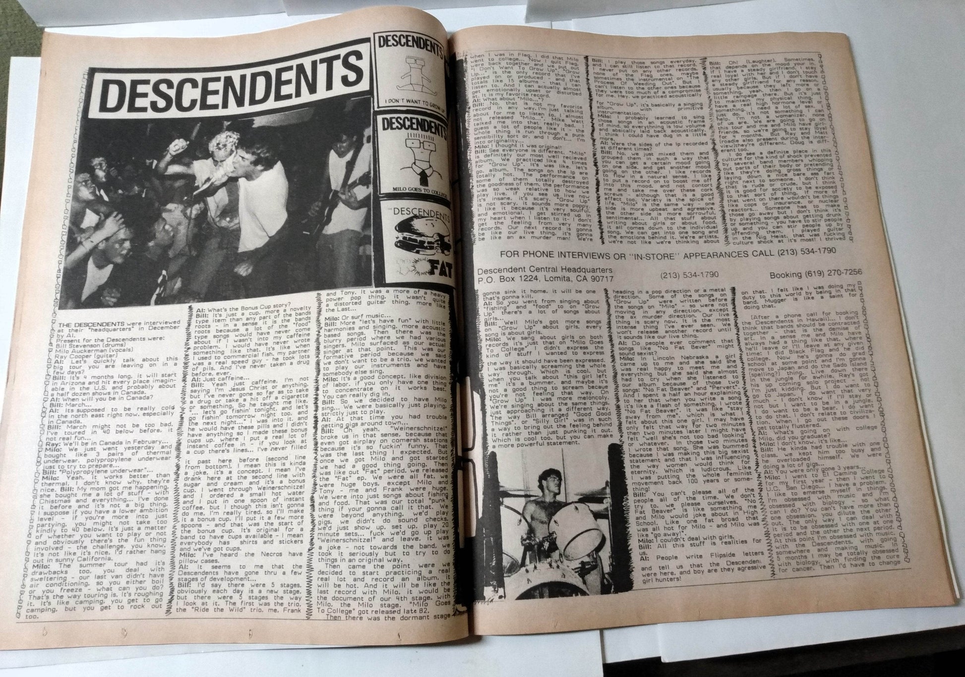 Flipside Issue #48 Spring 1986 Punk Fanzine Descendents Fear Scream Necros - TulipStuff