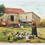 Florida Farmer's Wife Feeding The Chickens Postcard 1914 - TulipStuff