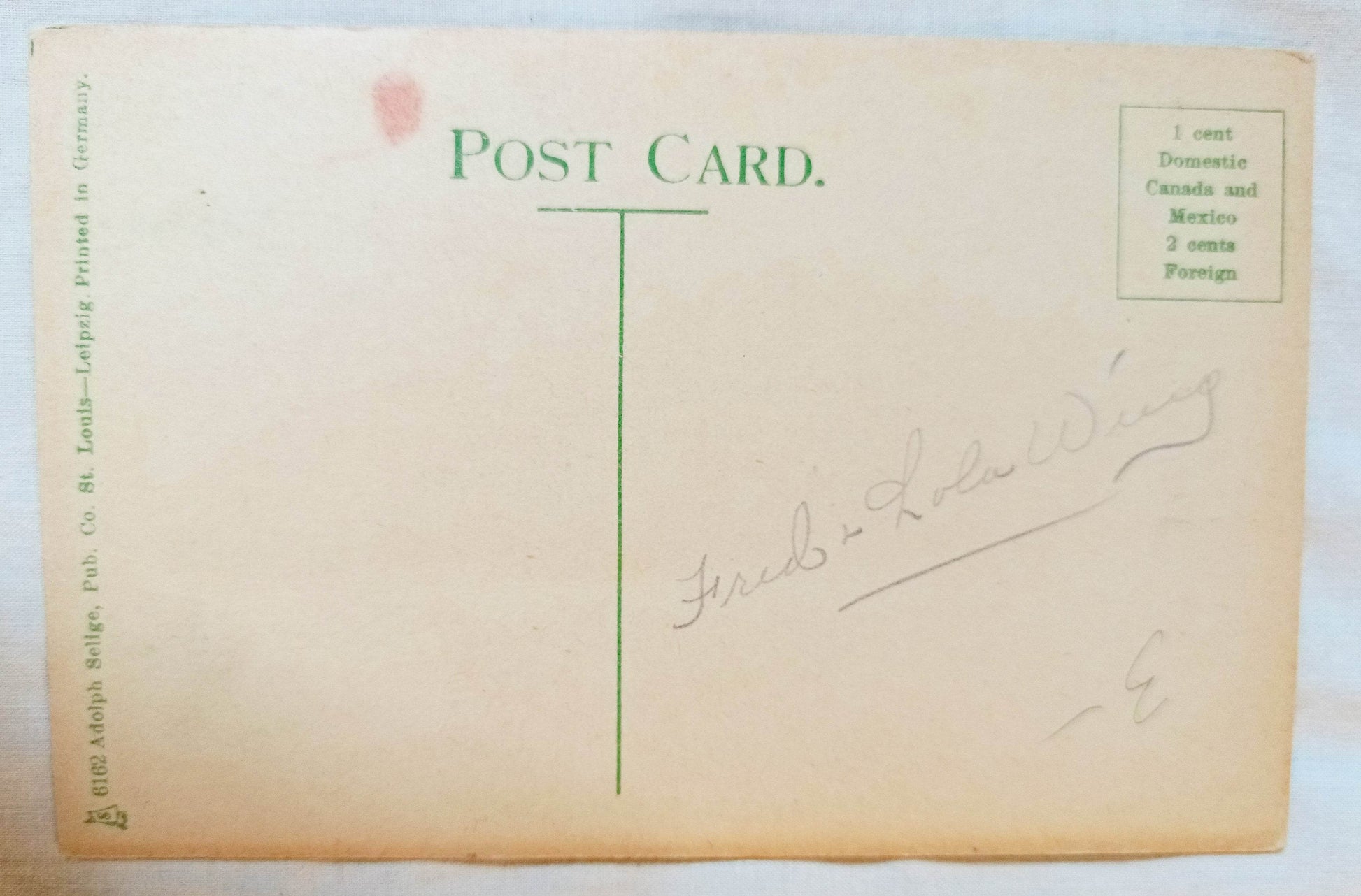 Florida Farmer's Wife Feeding The Chickens Postcard 1914 - TulipStuff