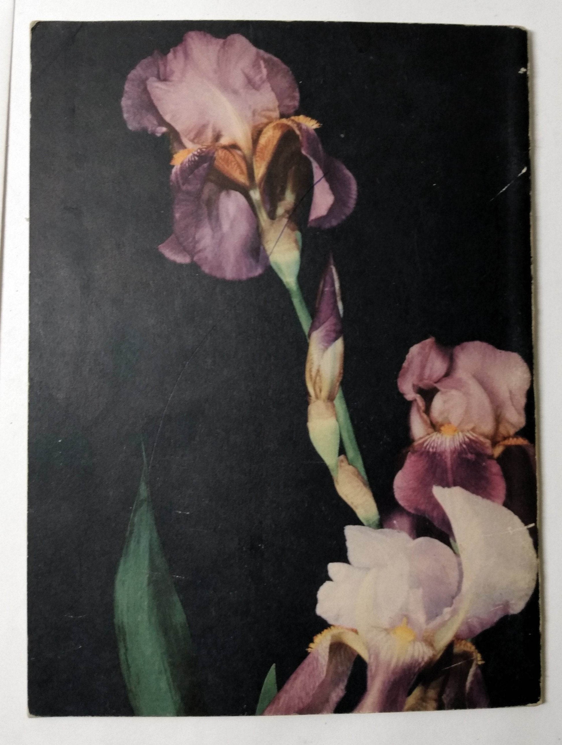 Flowers Fruits Seeds Basic Science Education Series Bertha Parker 1941 - TulipStuff