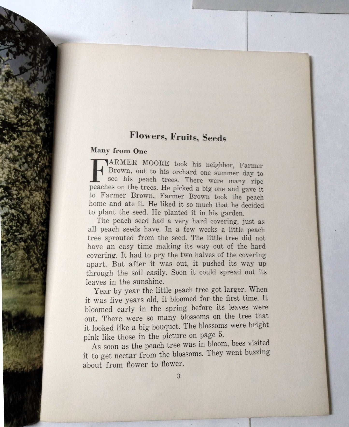 Flowers Fruits Seeds Basic Science Education Series Bertha Parker 1941 - TulipStuff