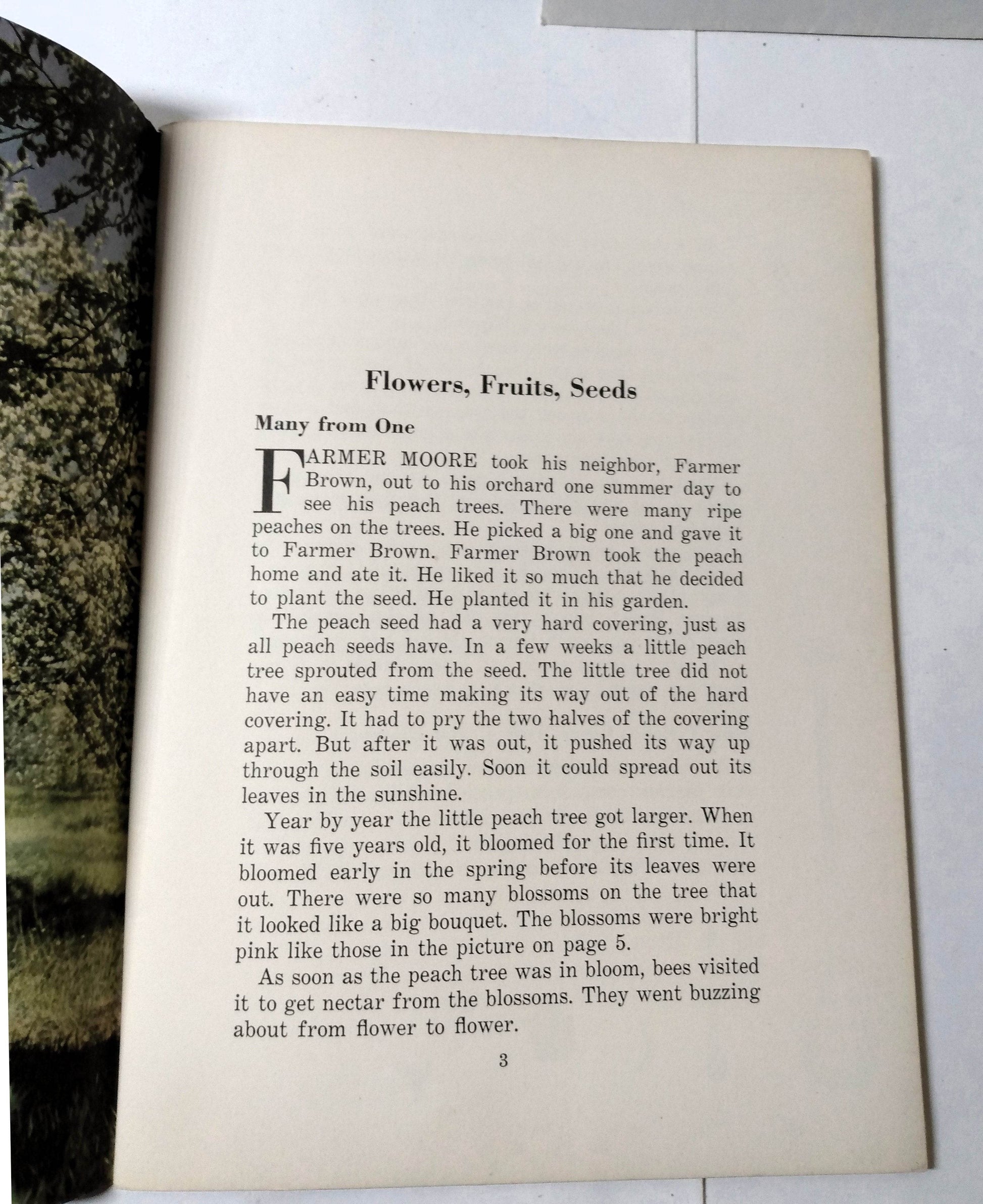 Flowers Fruits Seeds Basic Science Education Series Bertha Parker 1941 - TulipStuff