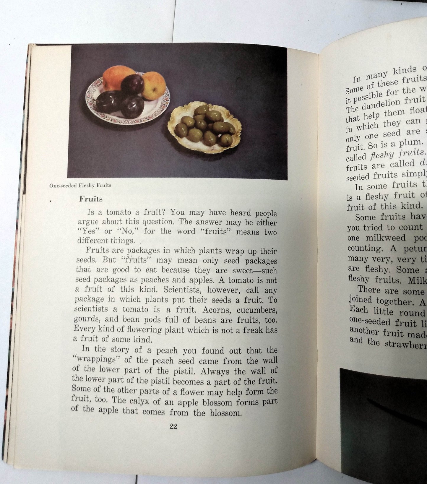 Flowers Fruits Seeds Basic Science Education Series Bertha Parker 1941 - TulipStuff