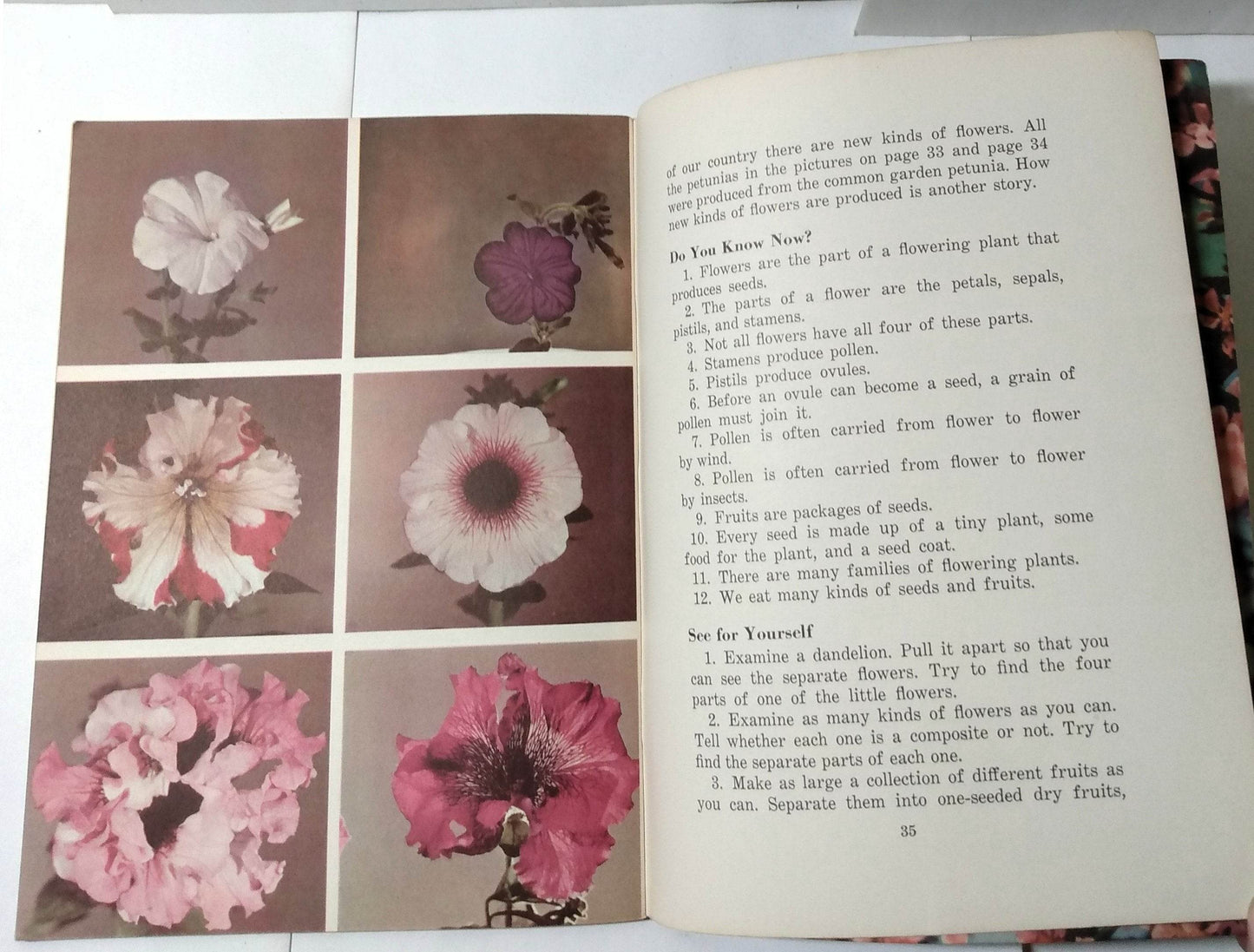 Flowers Fruits Seeds Basic Science Education Series Bertha Parker 1941 - TulipStuff