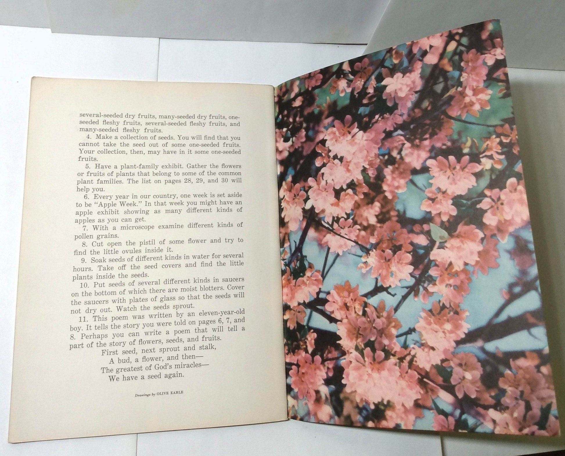 Flowers Fruits Seeds Basic Science Education Series Bertha Parker 1941 - TulipStuff