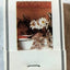 Four Seasons Hotels Peace Of Mind Vintage Matchbook Mid 1980's - TulipStuff