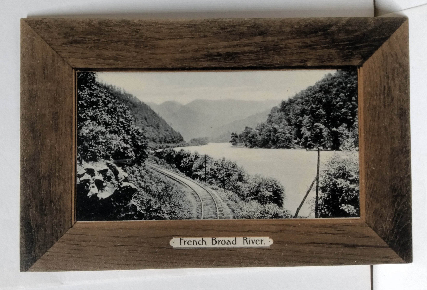 French Broad River Asheville NC Rotograph Undivided Back Antique Postcard - TulipStuff