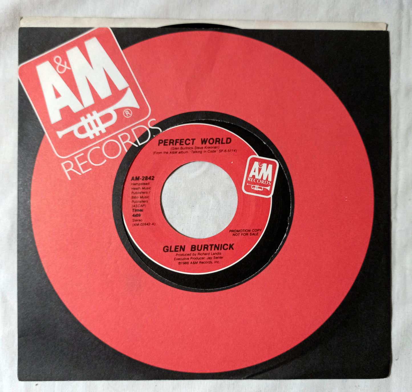 Glen Burtnick Perfect World AOR Rock 7" Vinyl AM-2842 1986 Promo - TulipStuff