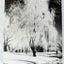 Winter Glenmere Park Greeley Colorado 1960s - TulipStuff