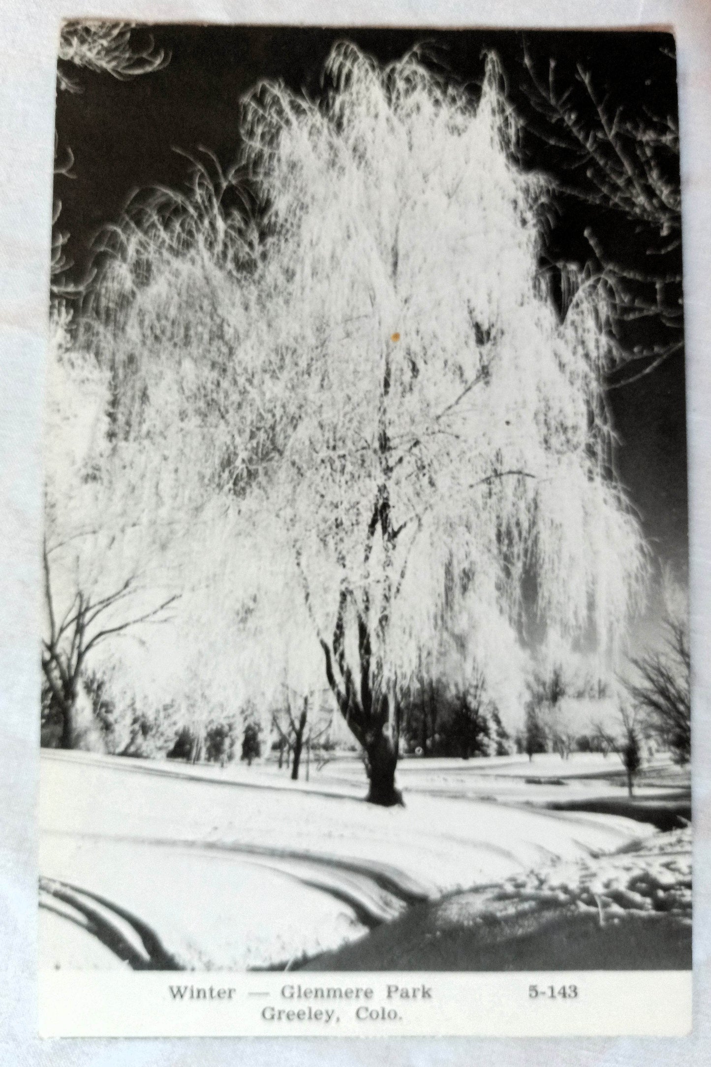 Winter Glenmere Park Greeley Colorado 1960s - TulipStuff