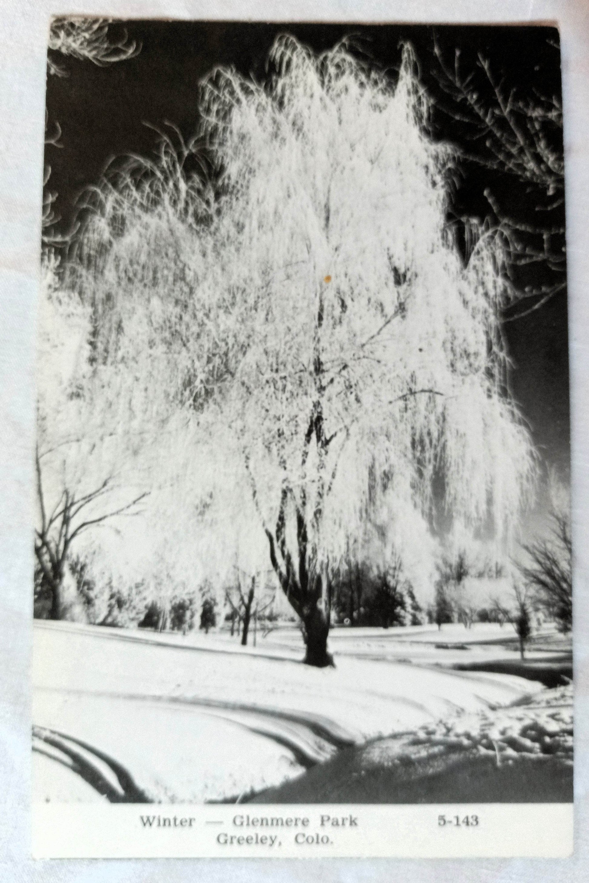 Winter Glenmere Park Greeley Colorado 1960s - TulipStuff
