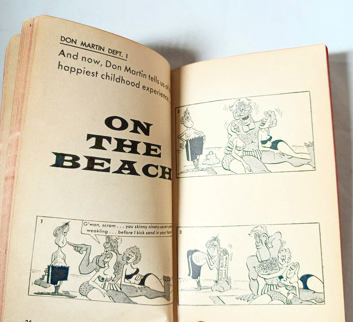Greasy Mad Stuff William M Gaines Signet D2343 Paperback 1963 - Tuliptuff