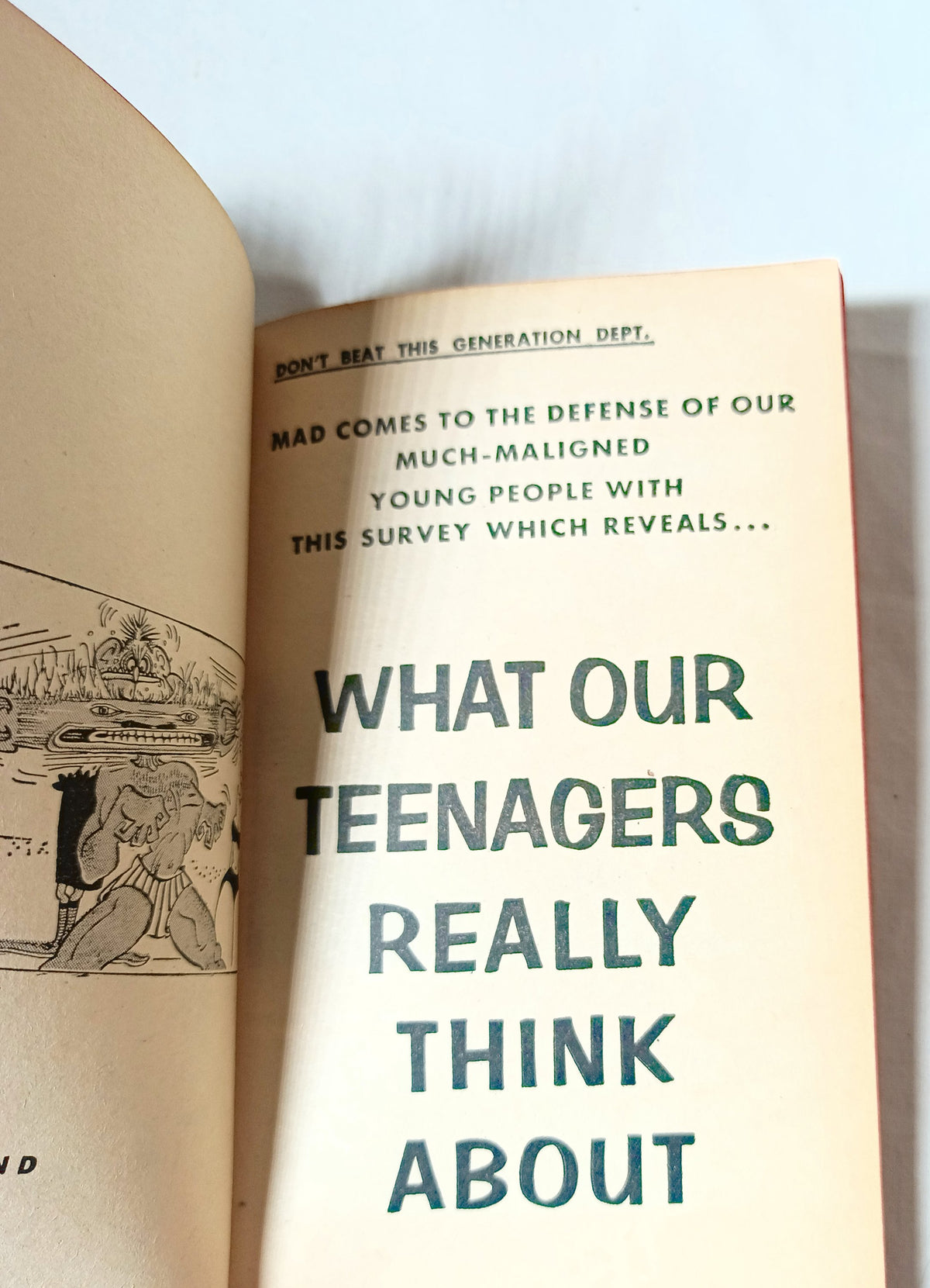 Greasy Mad Stuff William M Gaines Signet D2343 Paperback 1963 - Tuliptuff