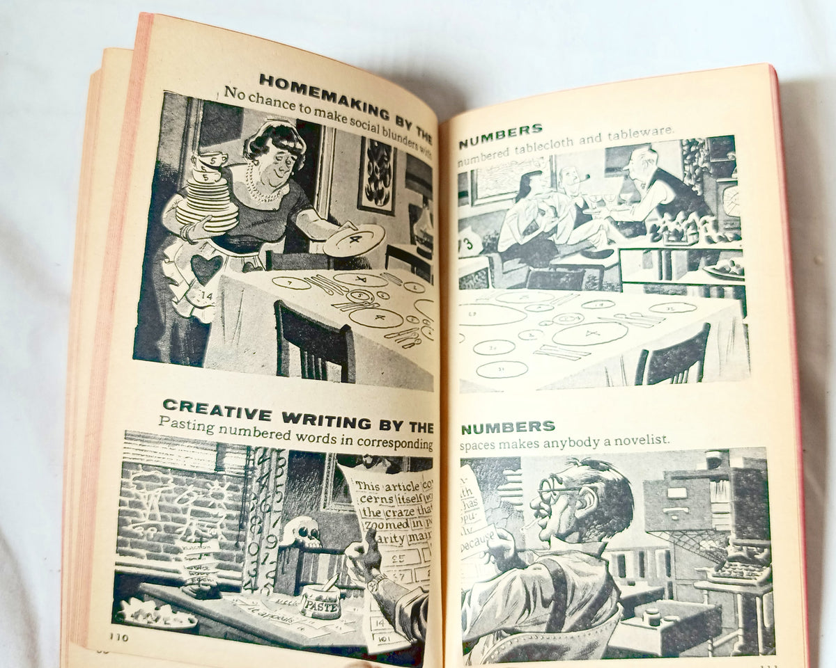 Greasy Mad Stuff William M Gaines Signet D2343 Paperback 1963 - Tuliptuff