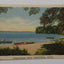 Greetings From Harrison Michigan Boats Lake Linen Postcard 1940 - TulipStuff