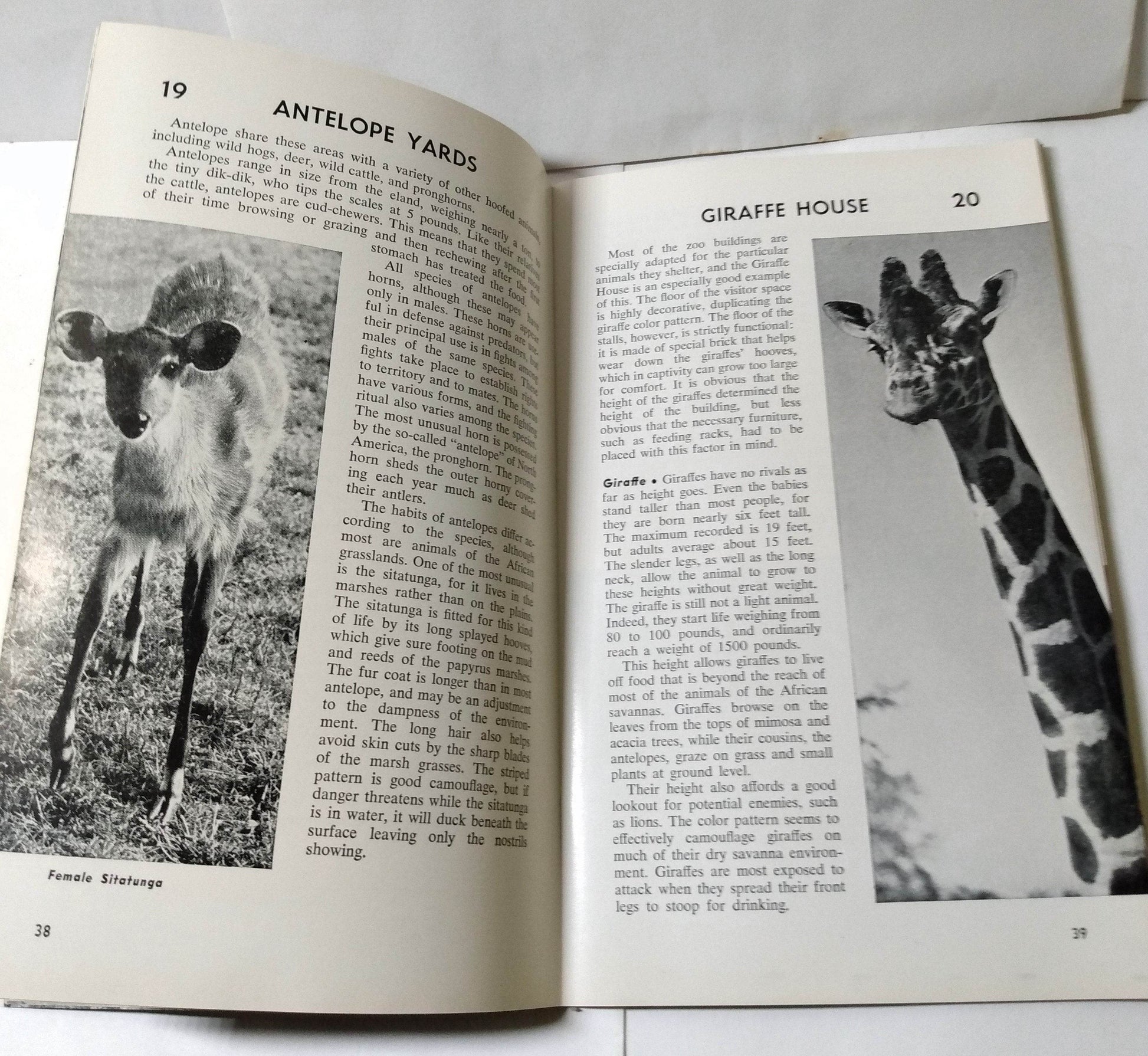 Brookfield Zoo Official Guide Book Chicago Zoological Park 1968 - TulipStuff
