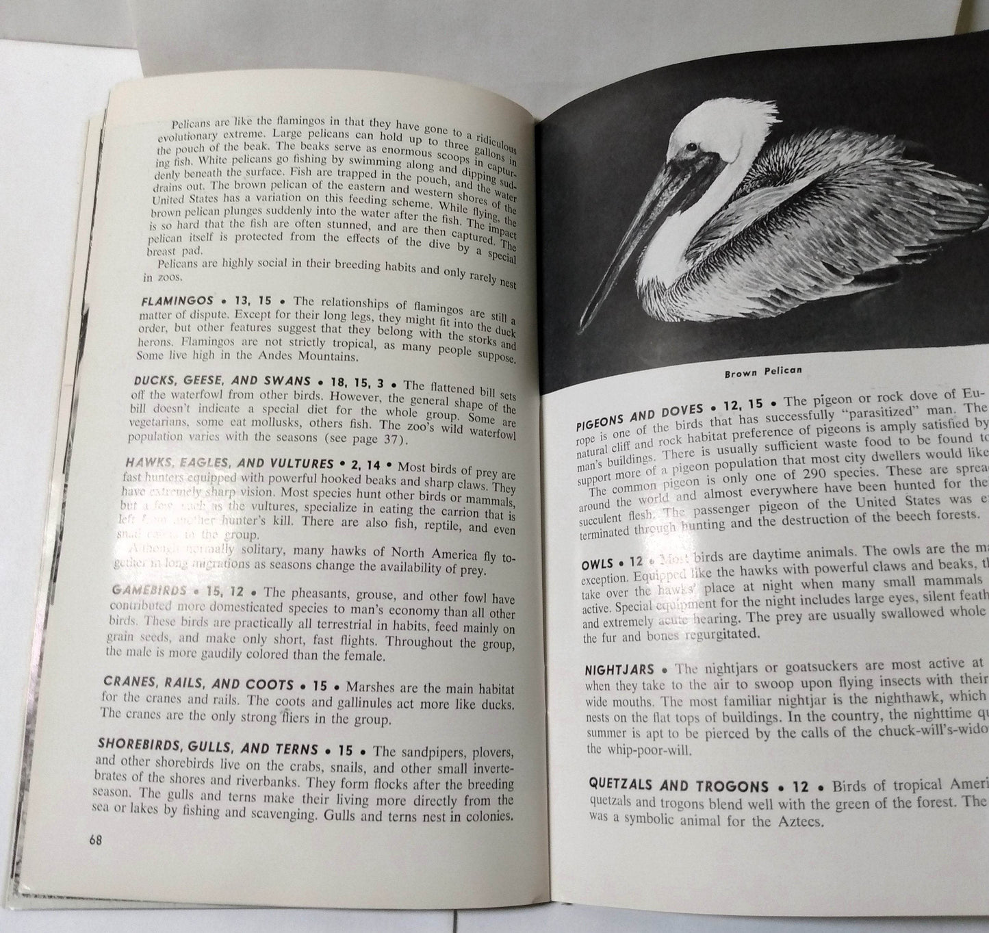 Brookfield Zoo Official Guide Book Chicago Zoological Park 1968 - TulipStuff