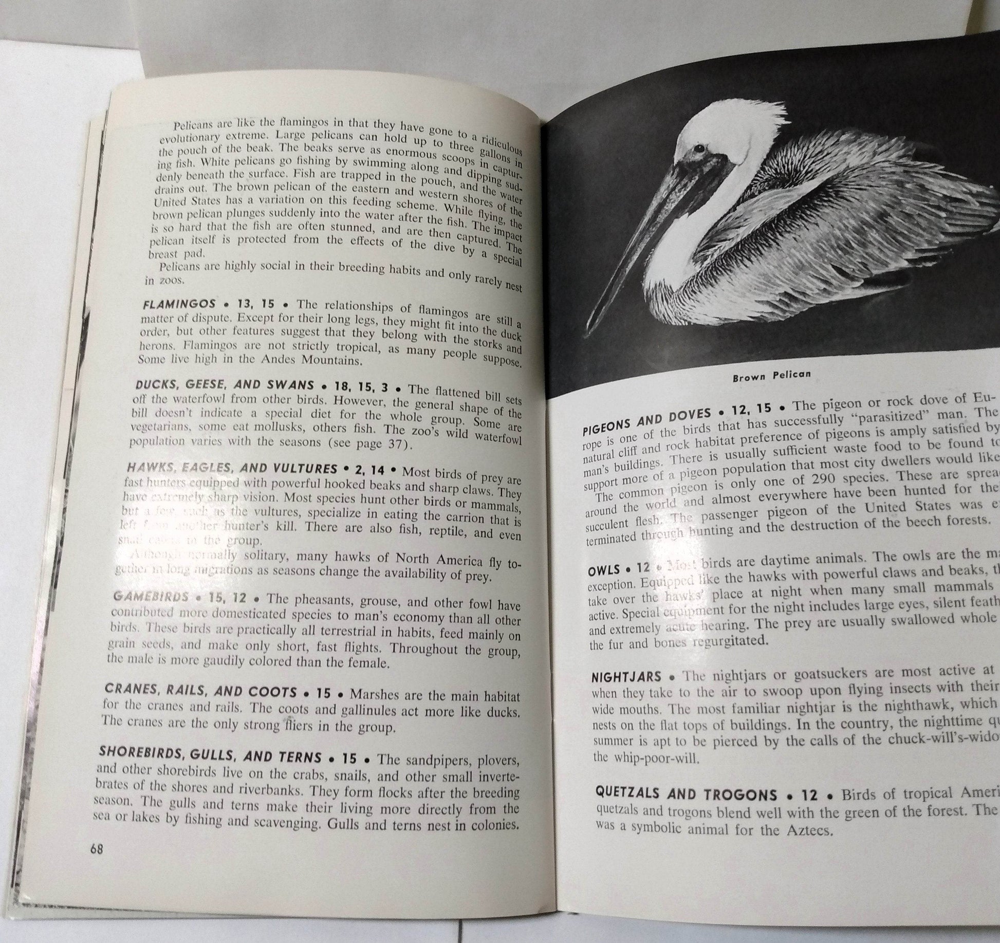 Brookfield Zoo Official Guide Book Chicago Zoological Park 1968 - TulipStuff