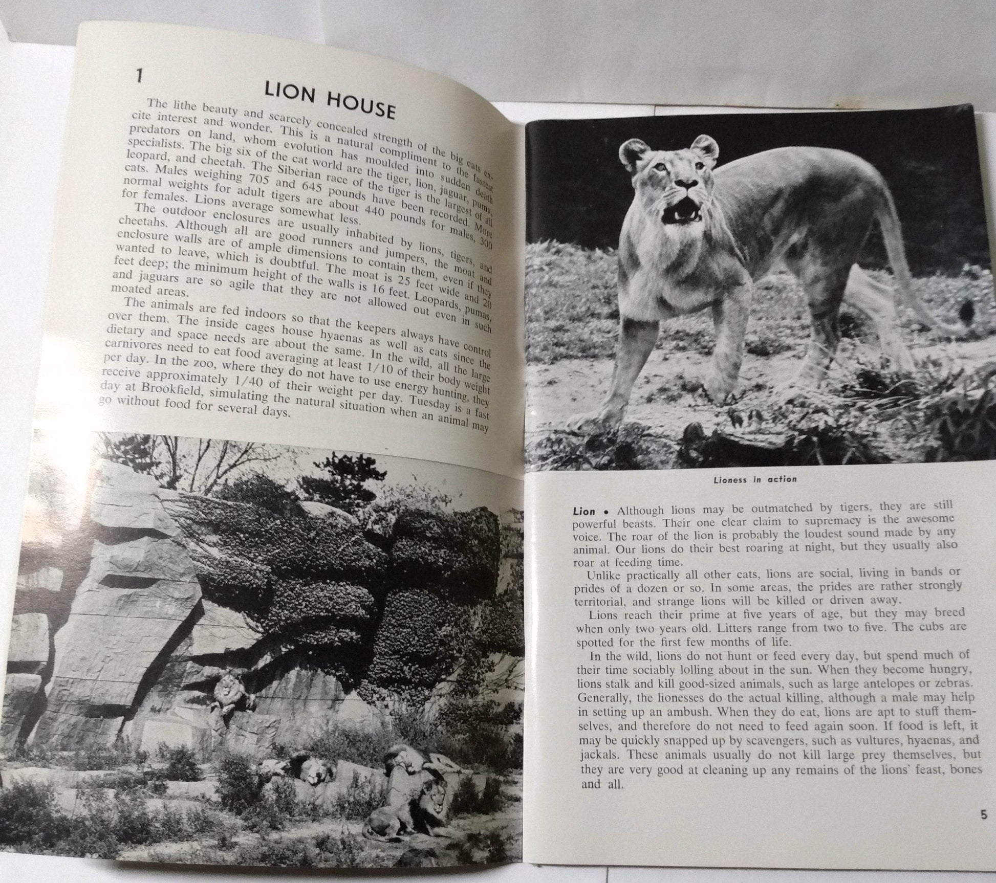 Brookfield Zoo Official Guide Book Chicago Zoological Park 1968 - TulipStuff