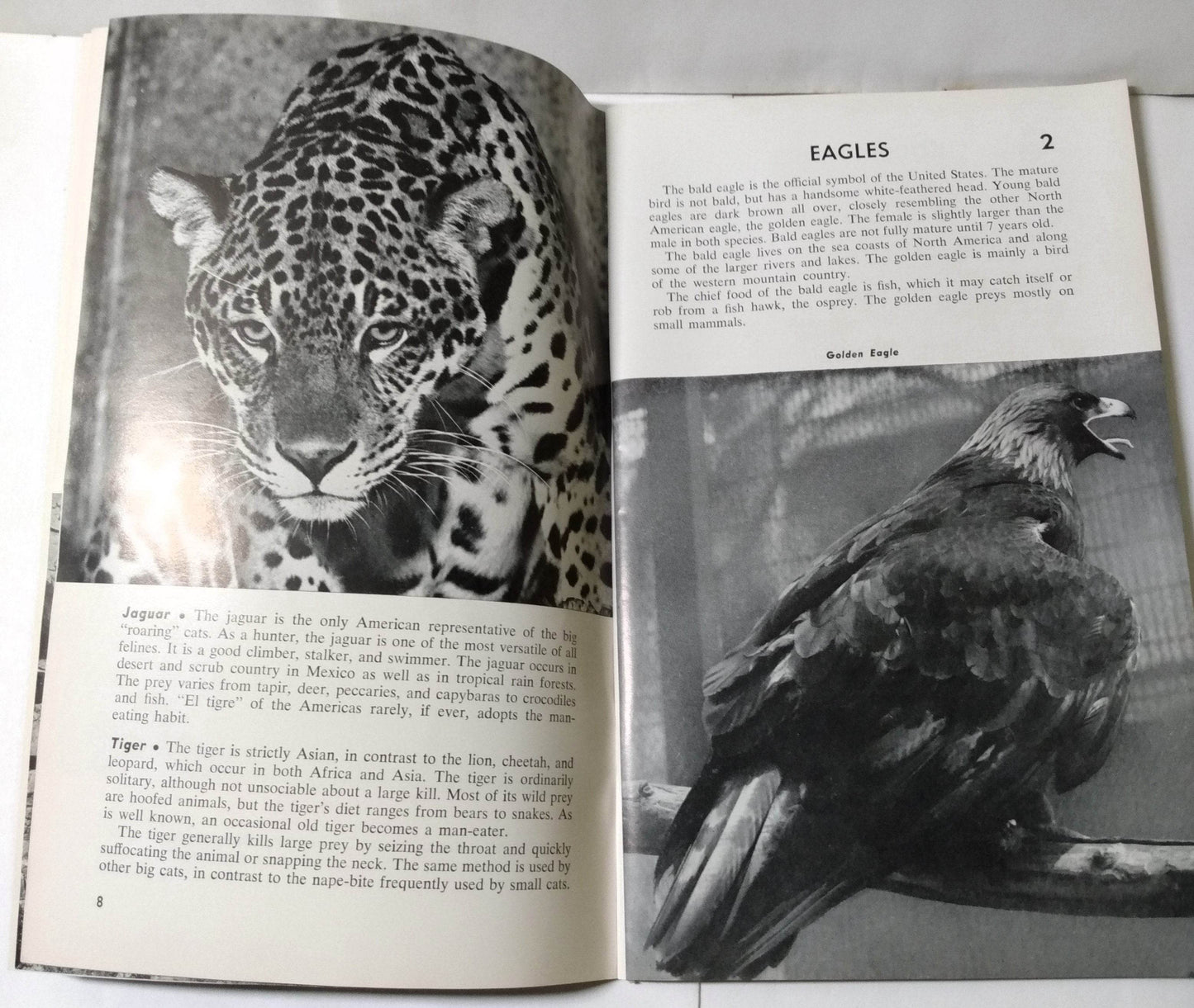 Brookfield Zoo Official Guide Book Chicago Zoological Park 1968 - TulipStuff