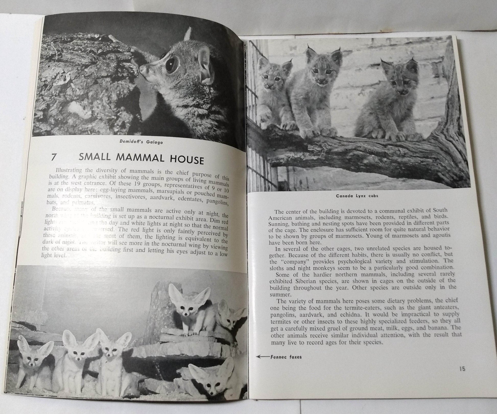 Brookfield Zoo Official Guide Book Chicago Zoological Park 1968 - TulipStuff