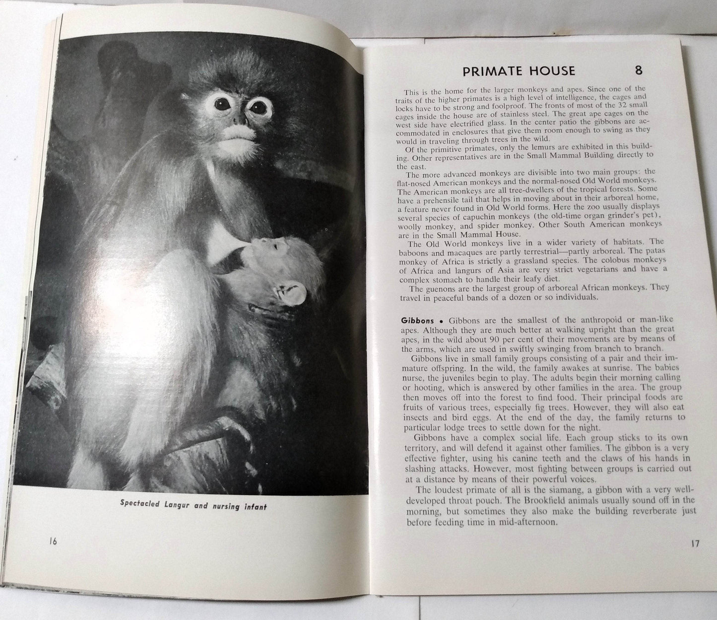 Brookfield Zoo Official Guide Book Chicago Zoological Park 1968 - TulipStuff