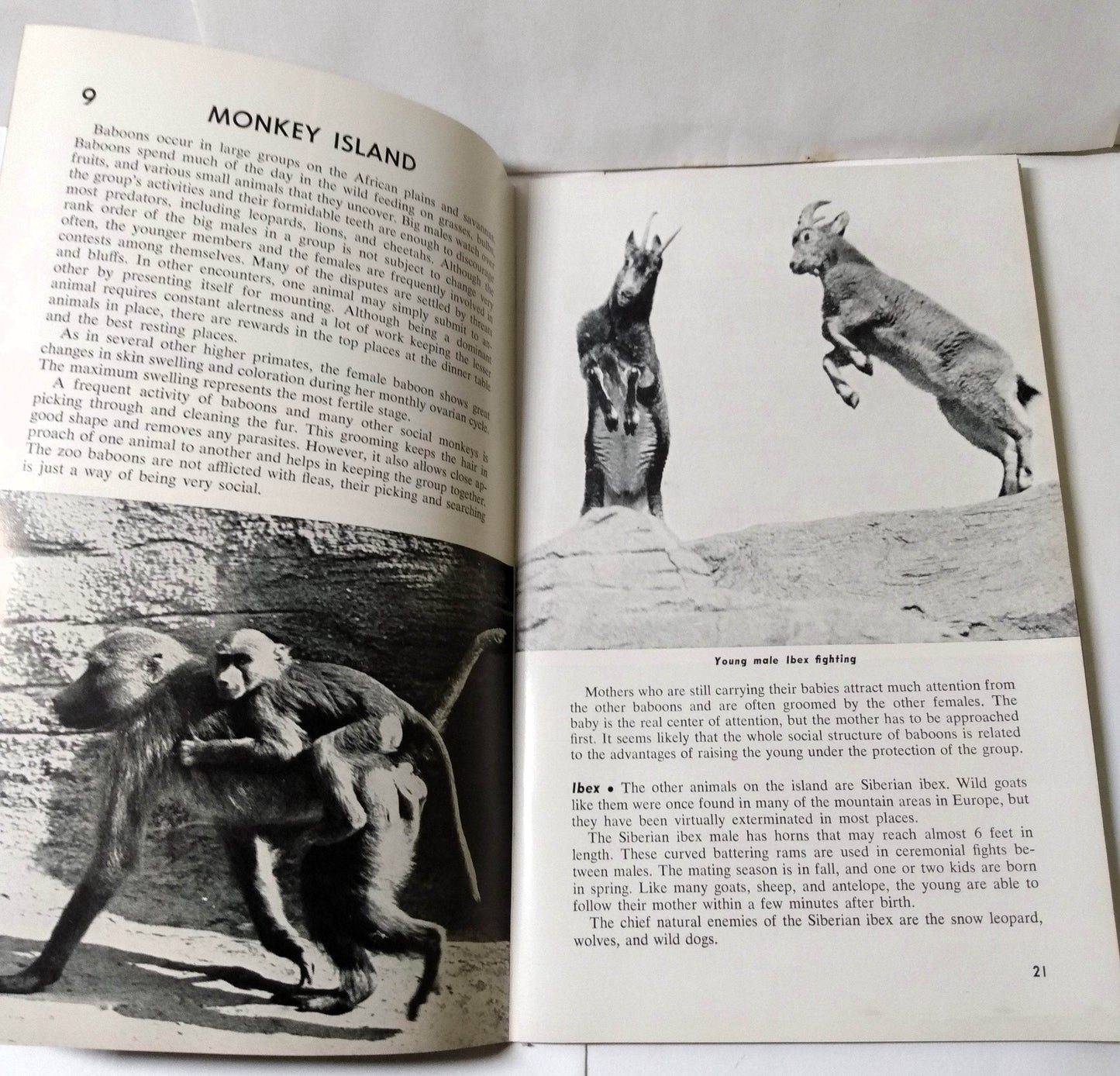 Brookfield Zoo Official Guide Book Chicago Zoological Park 1968 - TulipStuff