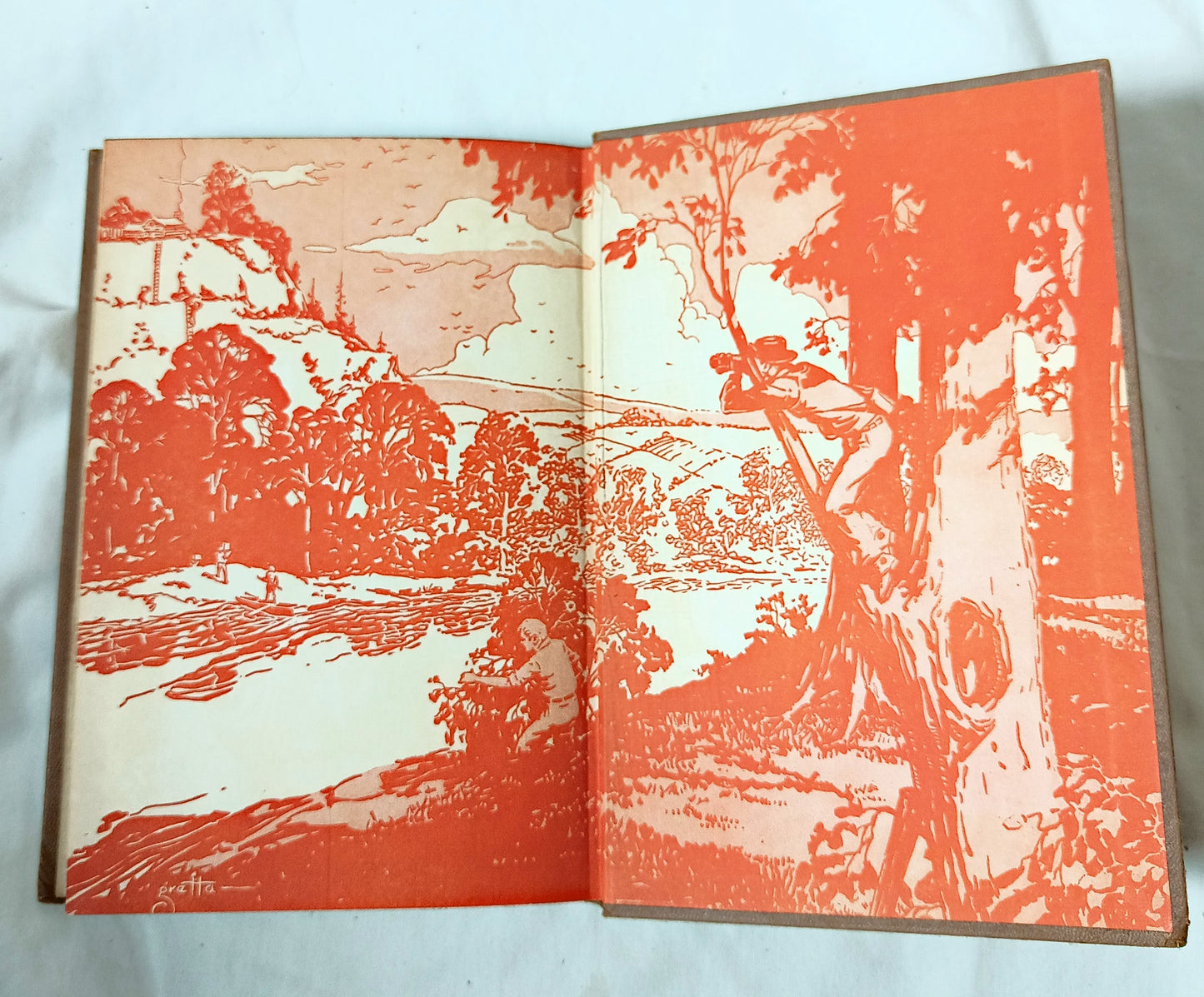The Hardy Boys The Mystery Of The Flying Express Franklin W Dixon 1941 - TulipStuff