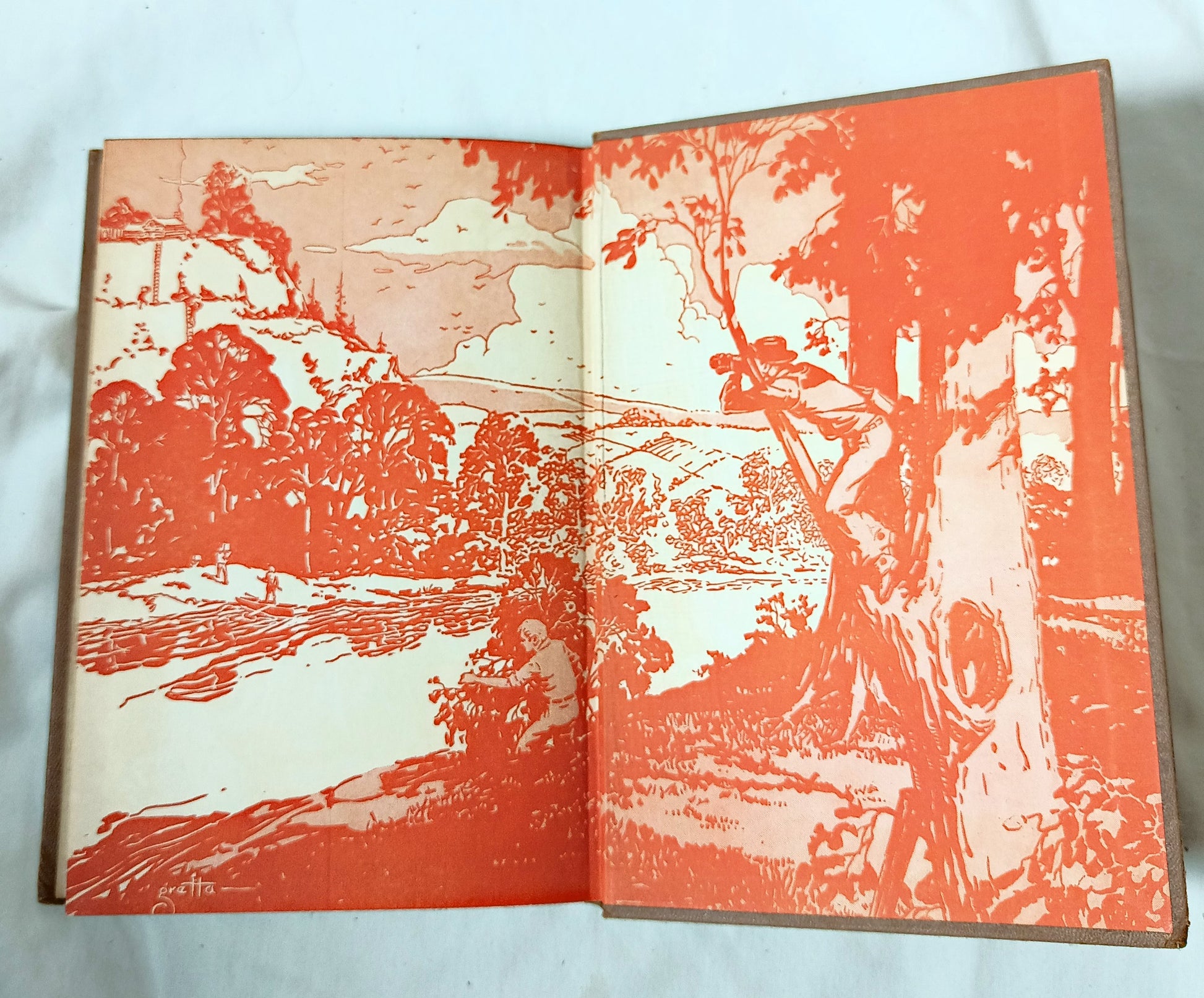 The Hardy Boys The Mystery Of The Flying Express Franklin W Dixon 1941 - TulipStuff