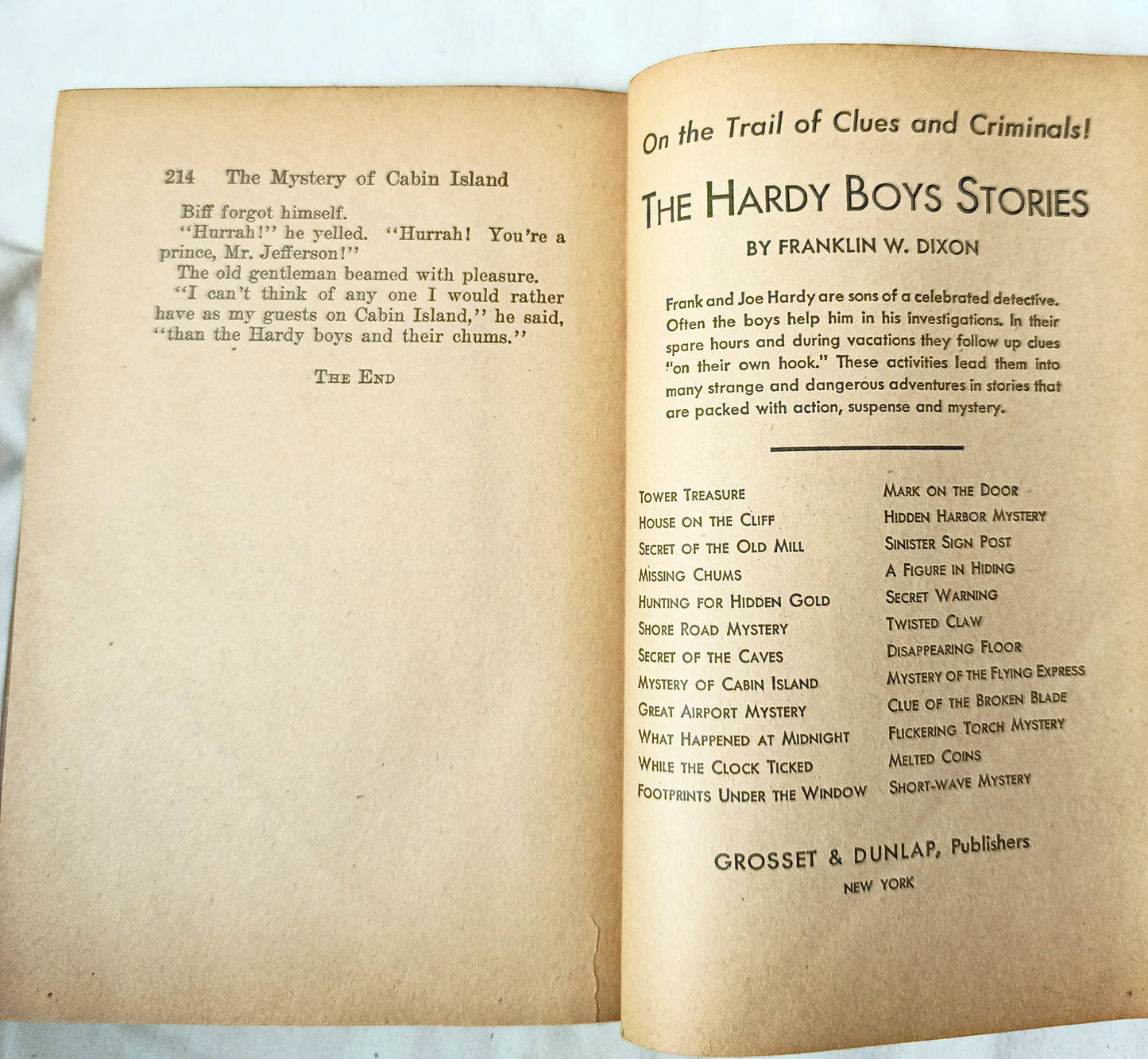 The Hardy Boys The Mystery Of Cabin Island Franklin W Dixon 1945 - TulipStuff