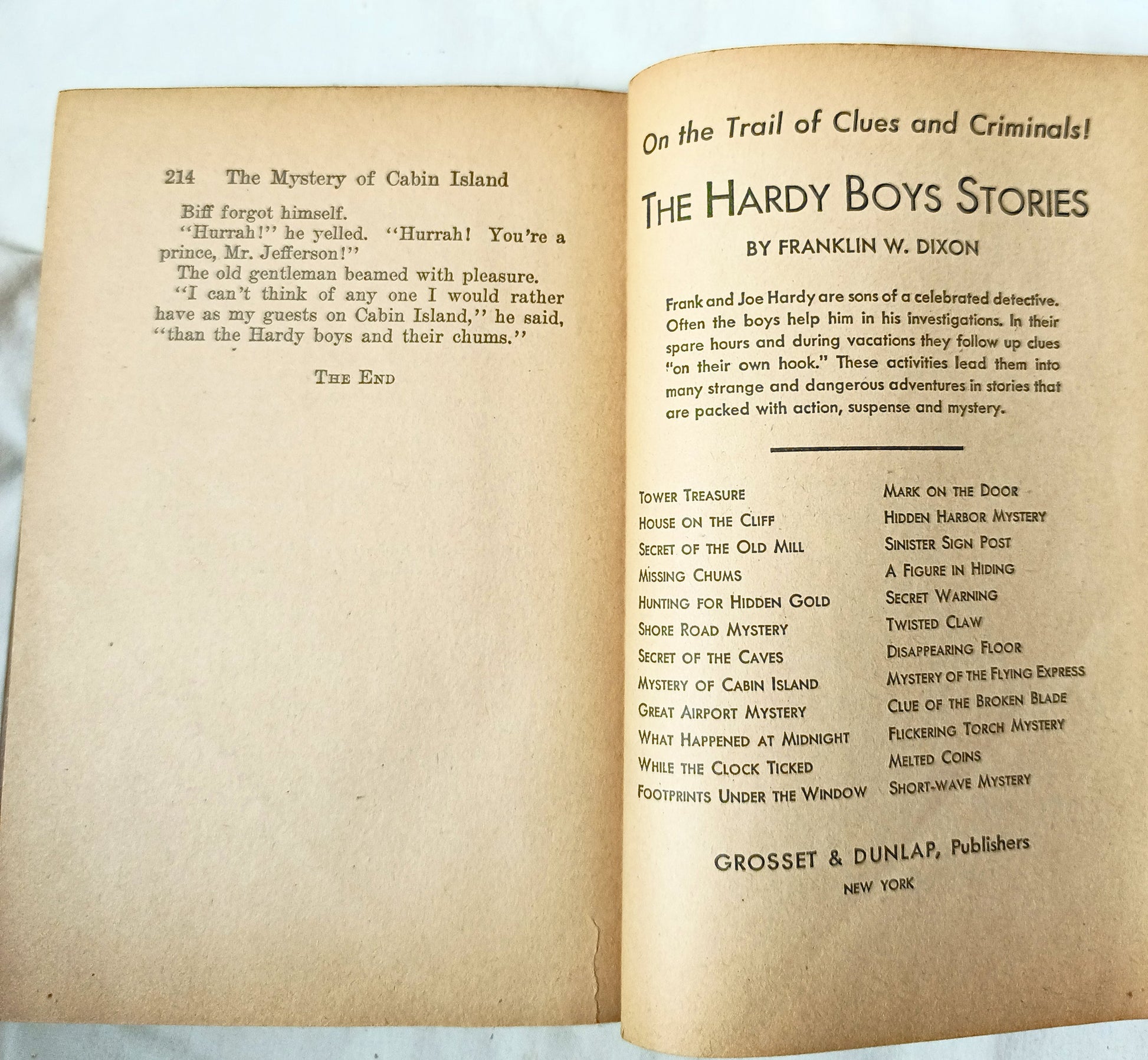 The Hardy Boys The Mystery Of Cabin Island Franklin W Dixon 1945 - TulipStuff