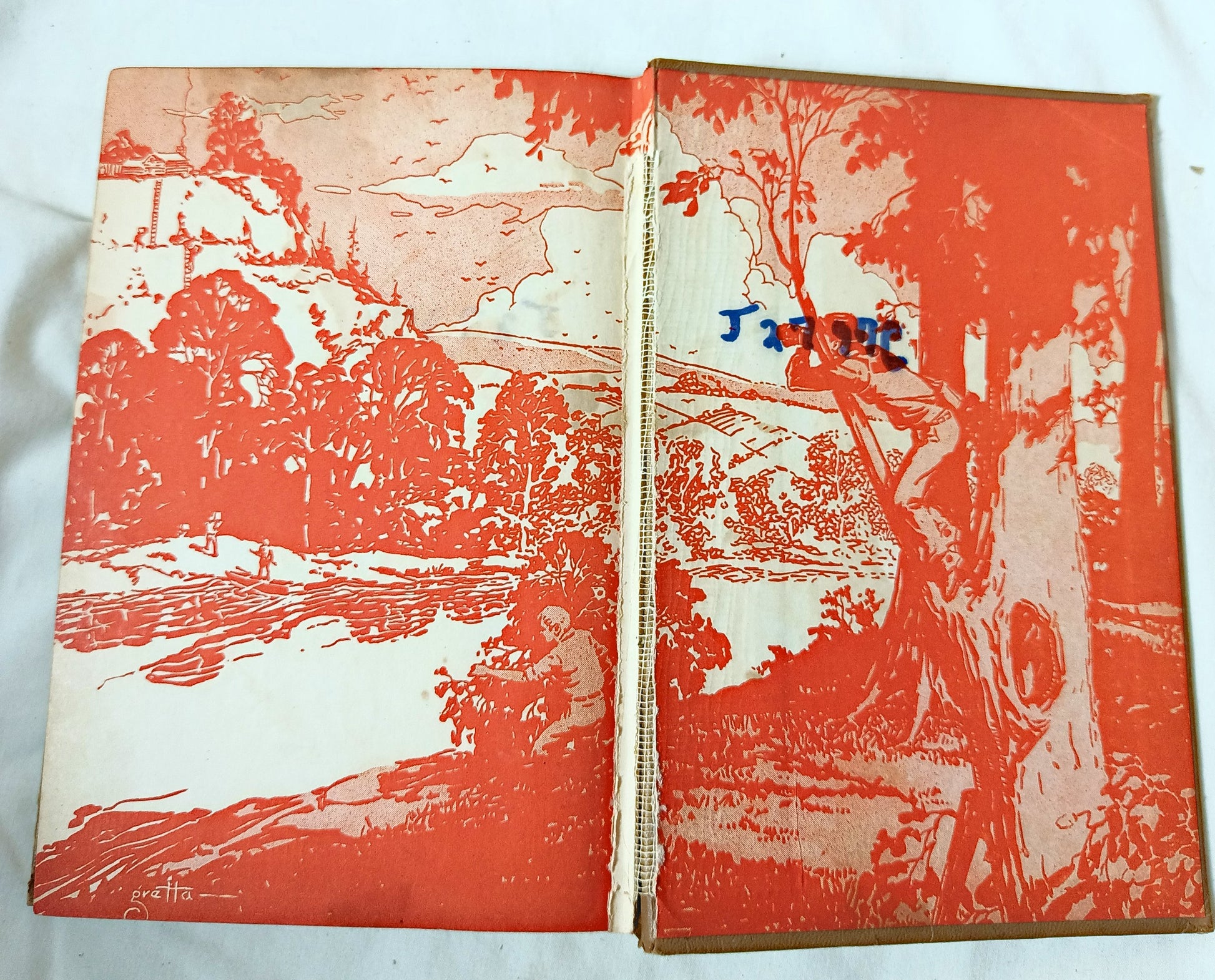 The Hardy Boys The Mystery Of Cabin Island Franklin W Dixon 1945 - TulipStuff