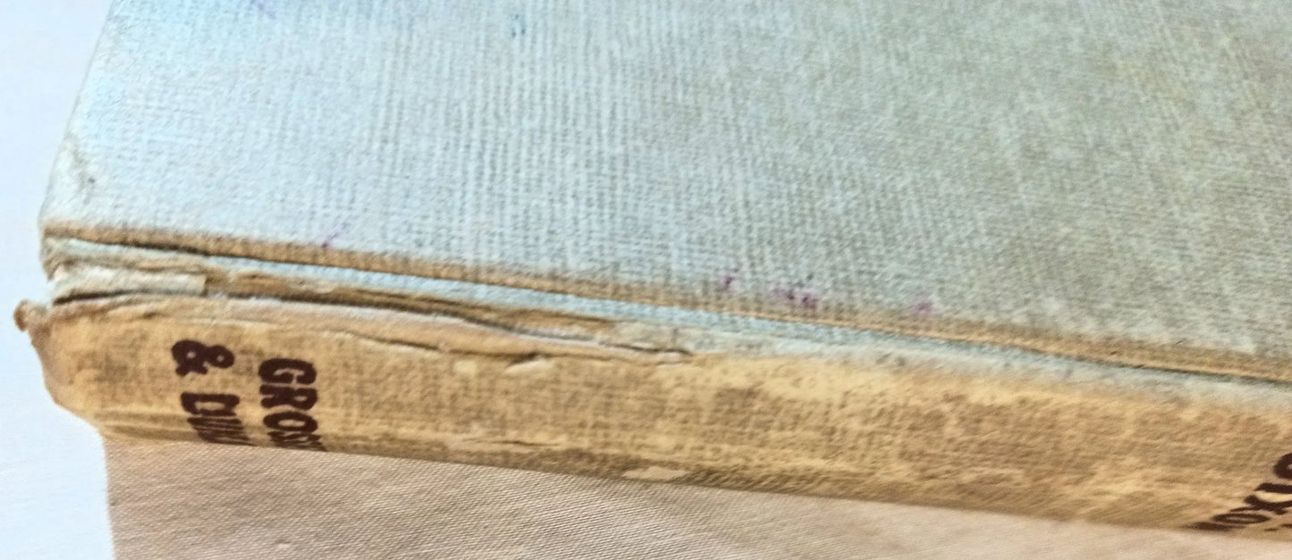 The Hardy Boys The Secret of the Old Mill Franklin W Dixon 1952 - TulipStuff