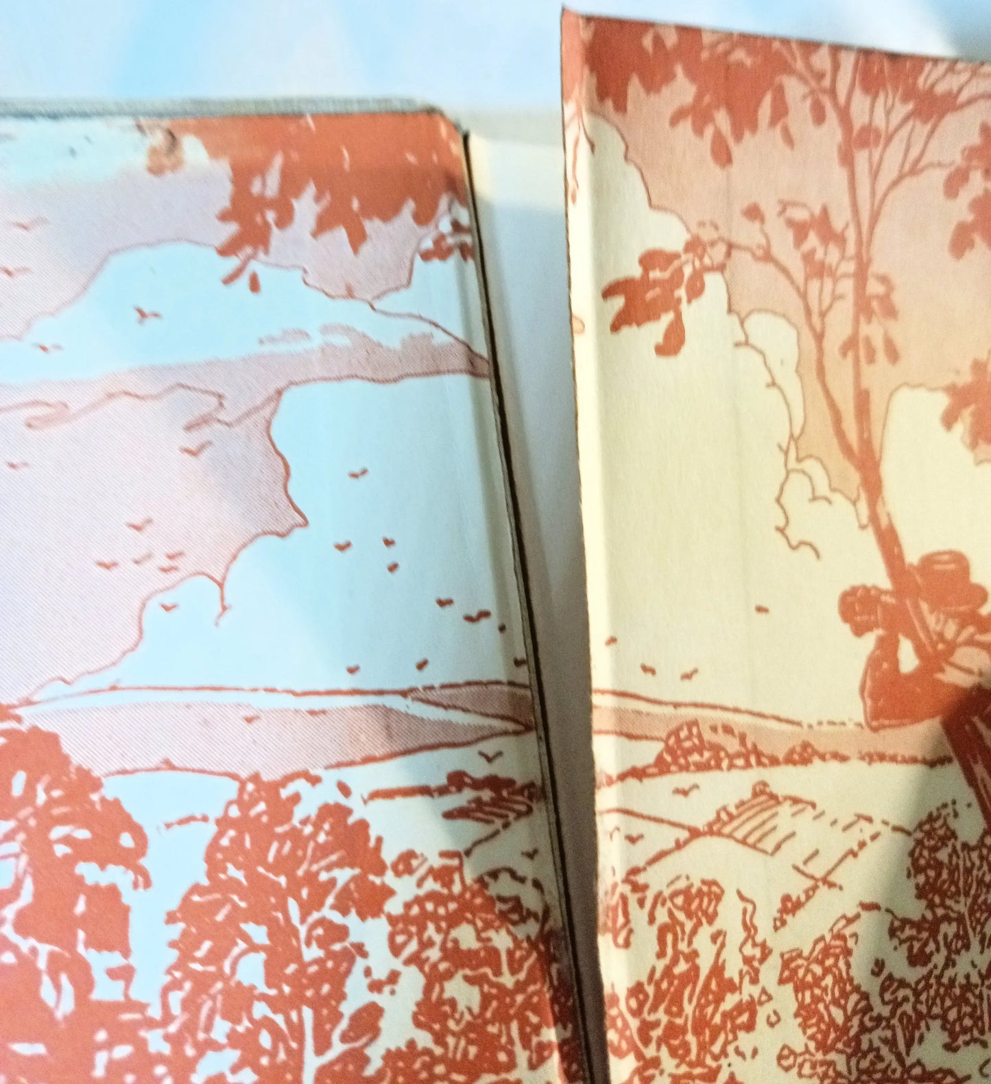 The Hardy Boys The Secret of the Old Mill Franklin W Dixon 1952 - TulipStuff