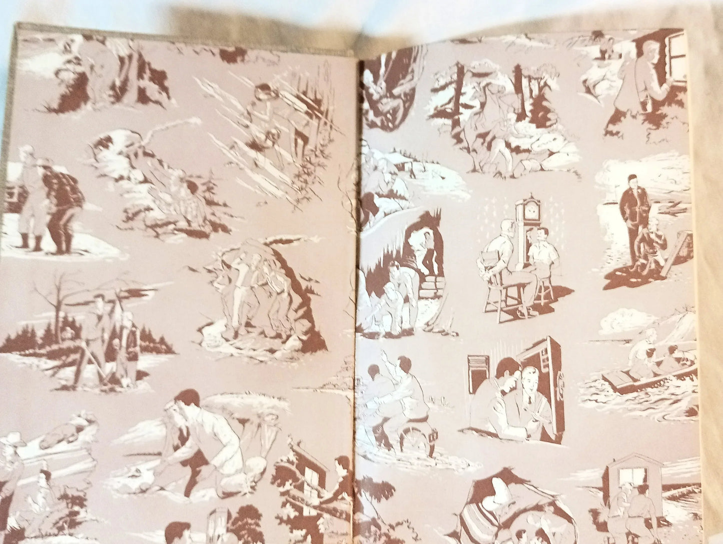 The Hardy Boys The Mystery Of Cabin Island Franklin W Dixon 1957 - TulipStuff