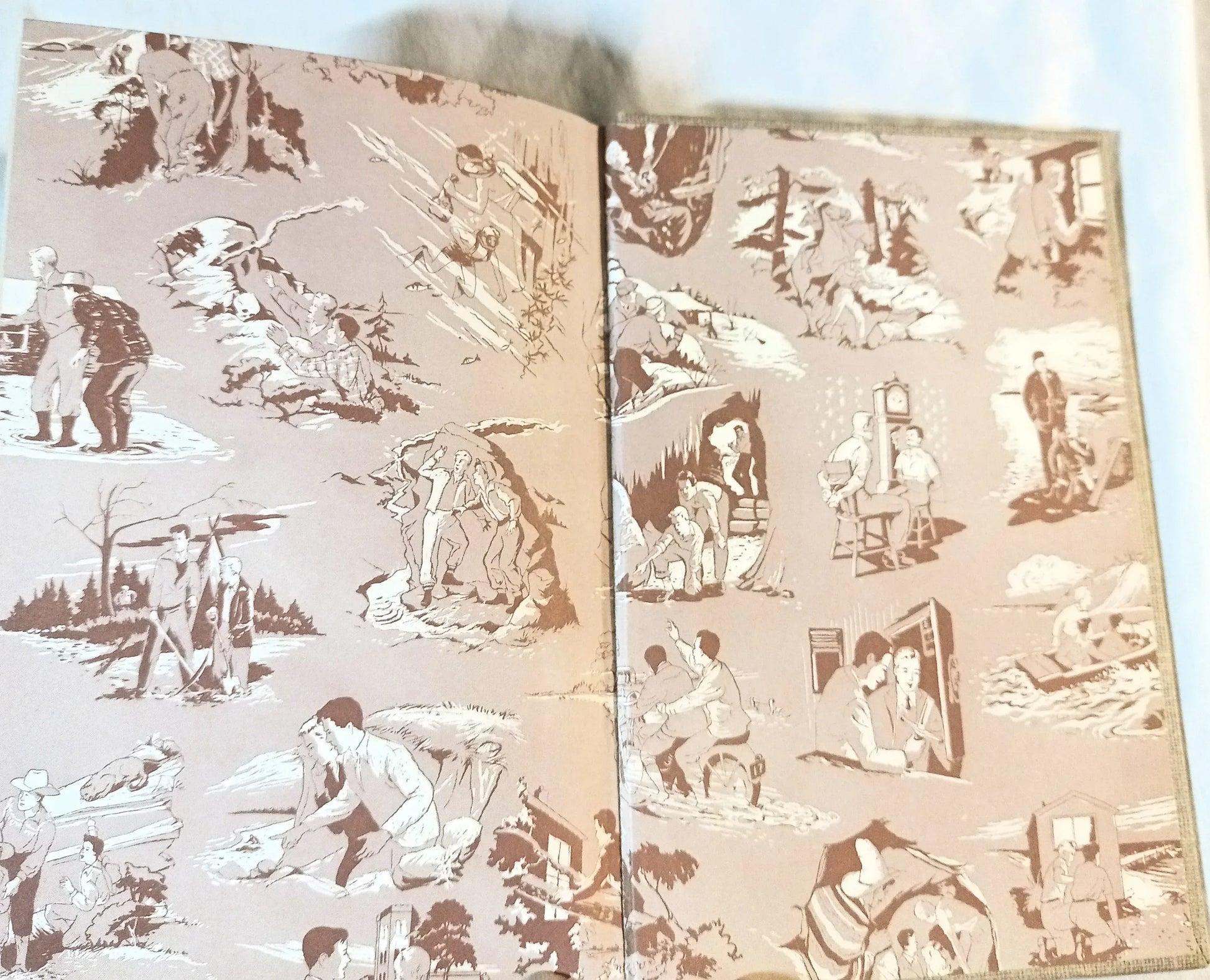 The Hardy Boys The Mystery Of Cabin Island Franklin W Dixon 1957 - TulipStuff