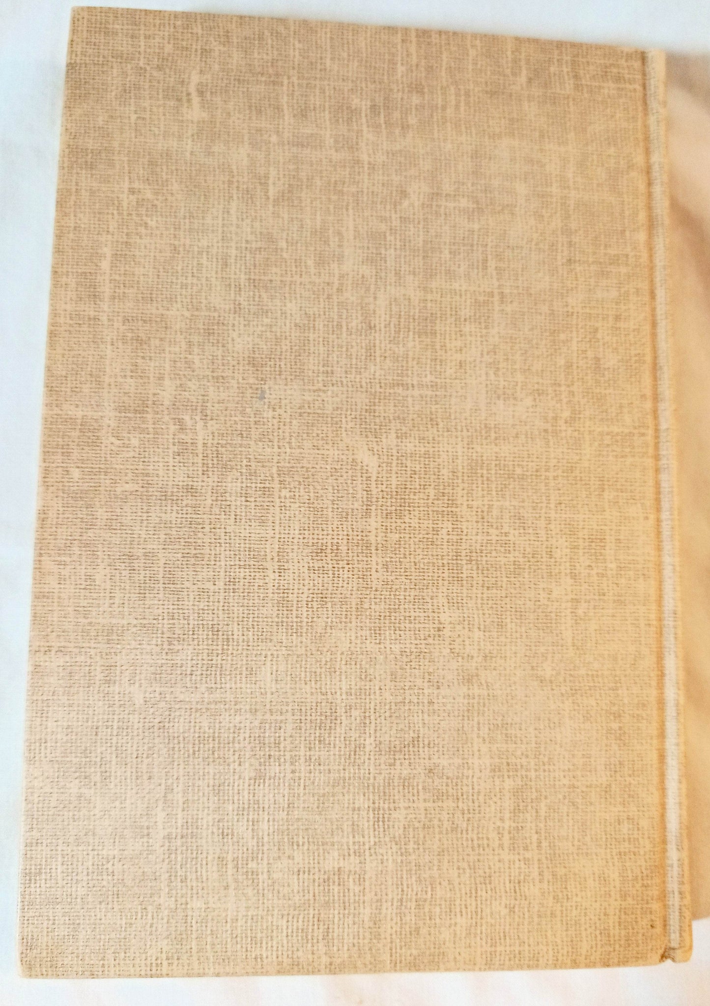 The Hardy Boys The Disappearing Floor Franklin W Dixon 1957 - TulipStuff