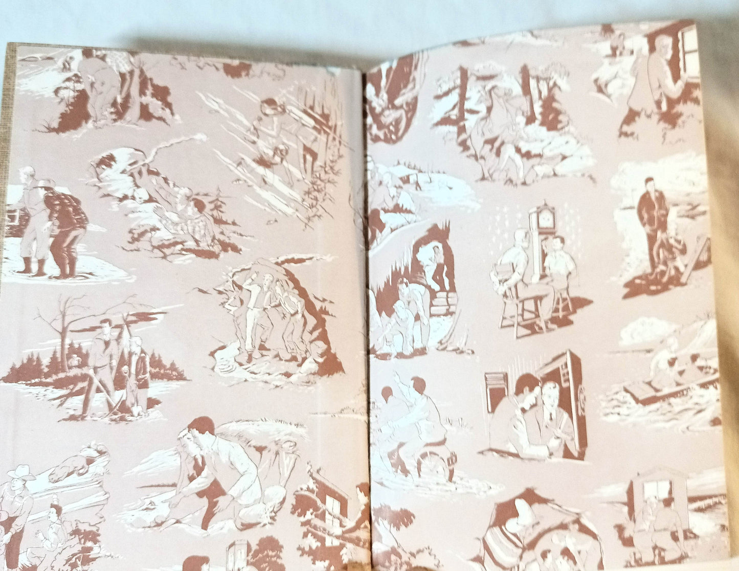 The Hardy Boys The Disappearing Floor Franklin W Dixon 1957 - TulipStuff