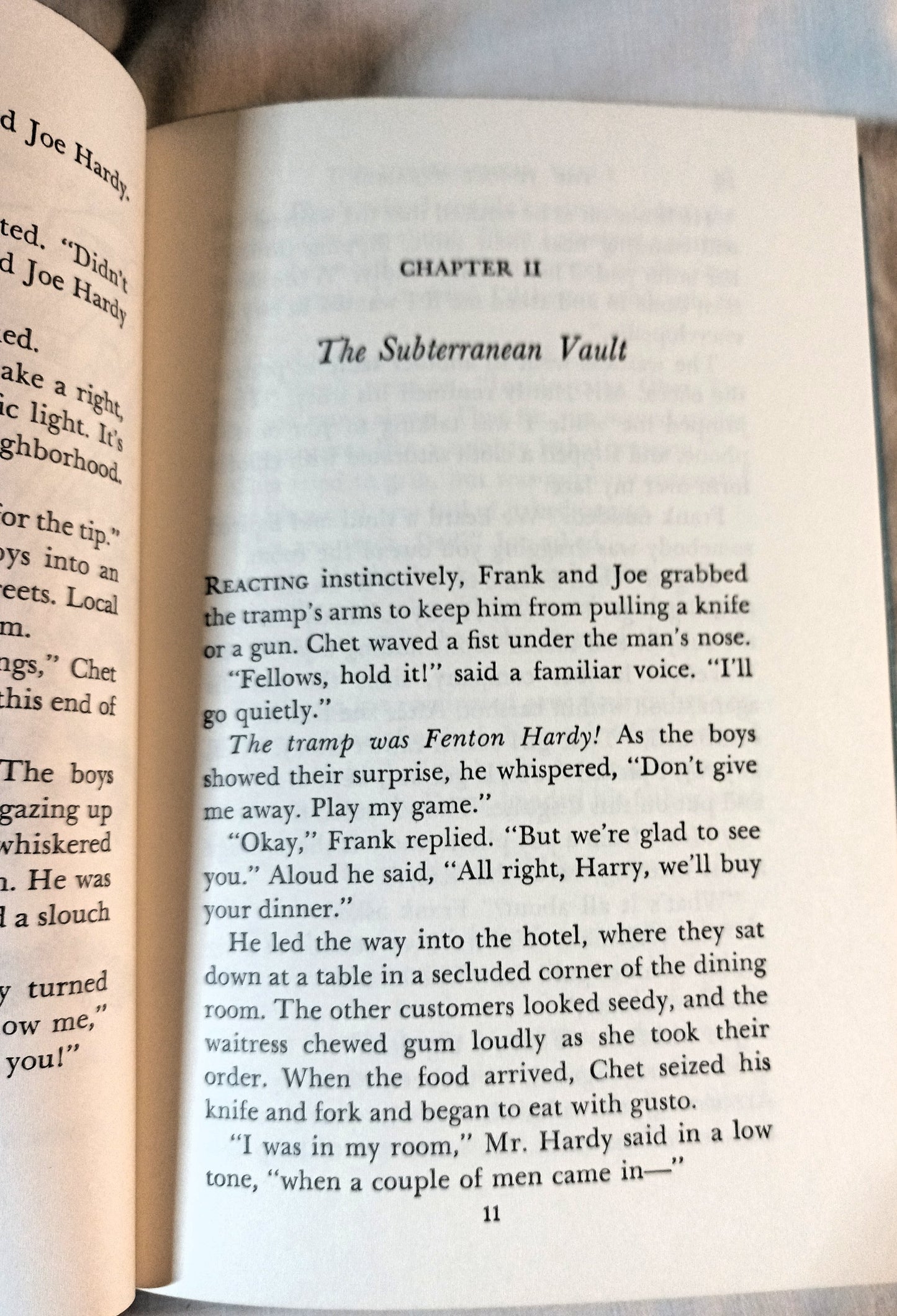 The Hardy Boys Mystery #56 The Jungle Pyramid Franklin W Dixon 1977 - TulipStuff