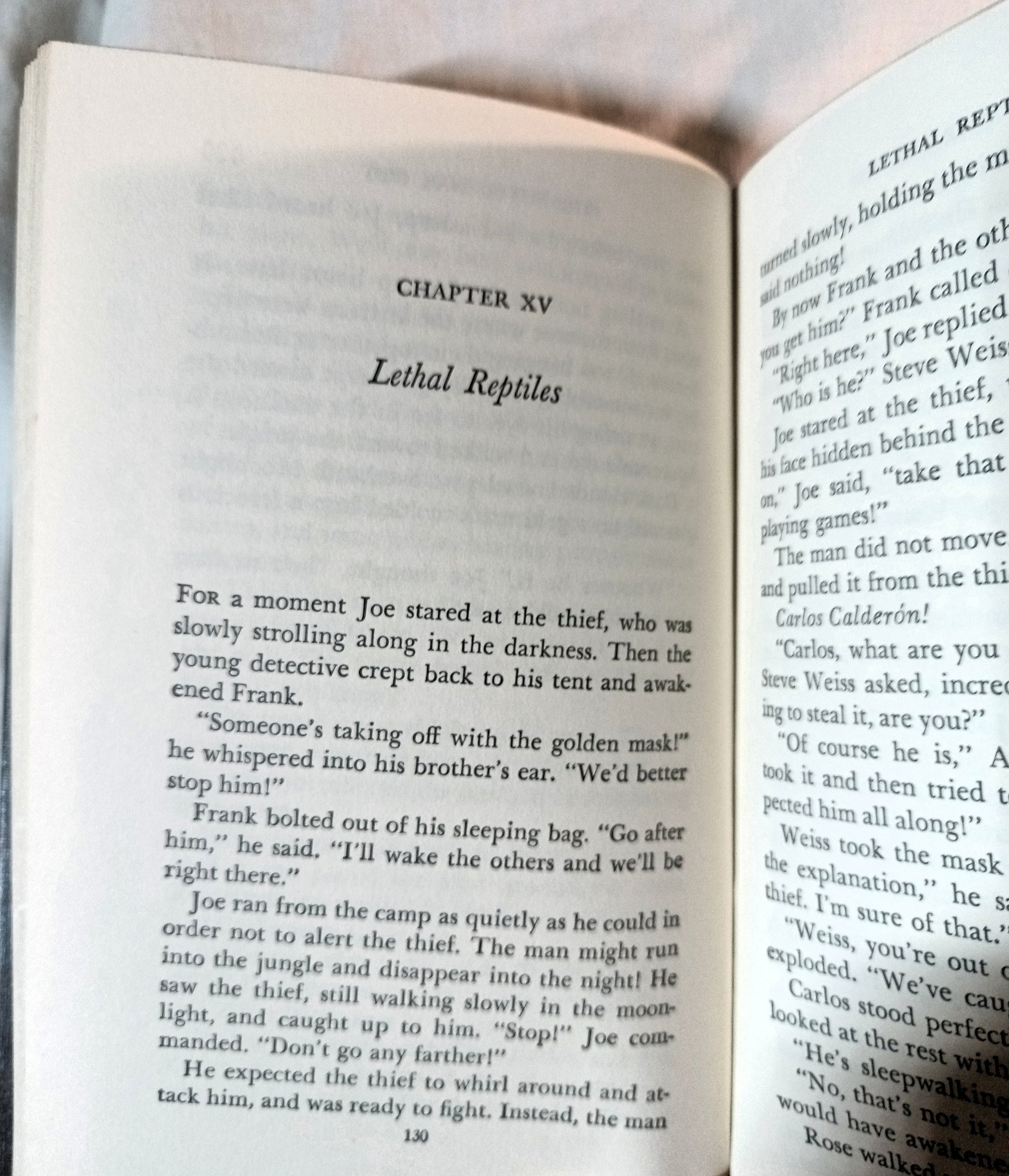 The Hardy Boys Mystery #56 The Jungle Pyramid Franklin W Dixon 1977 - TulipStuff